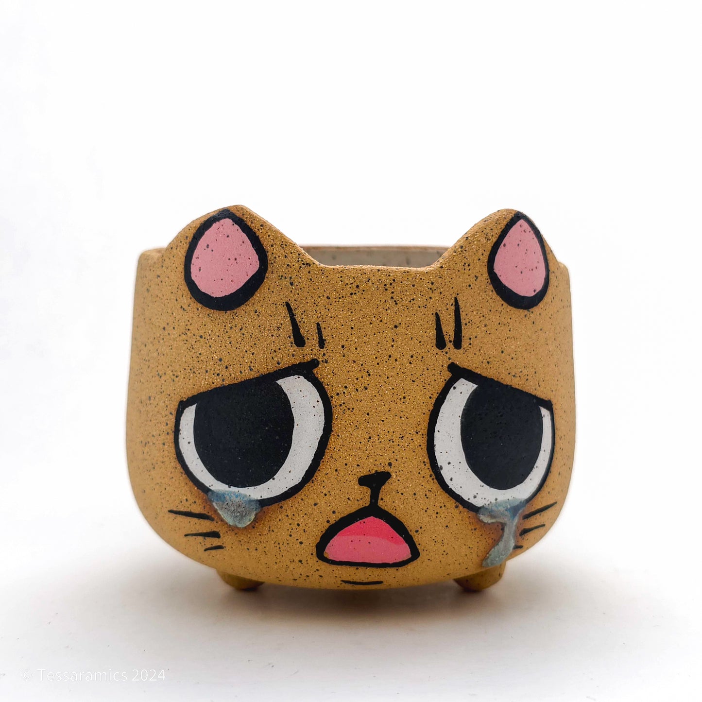 Sad Cat Head Planter *