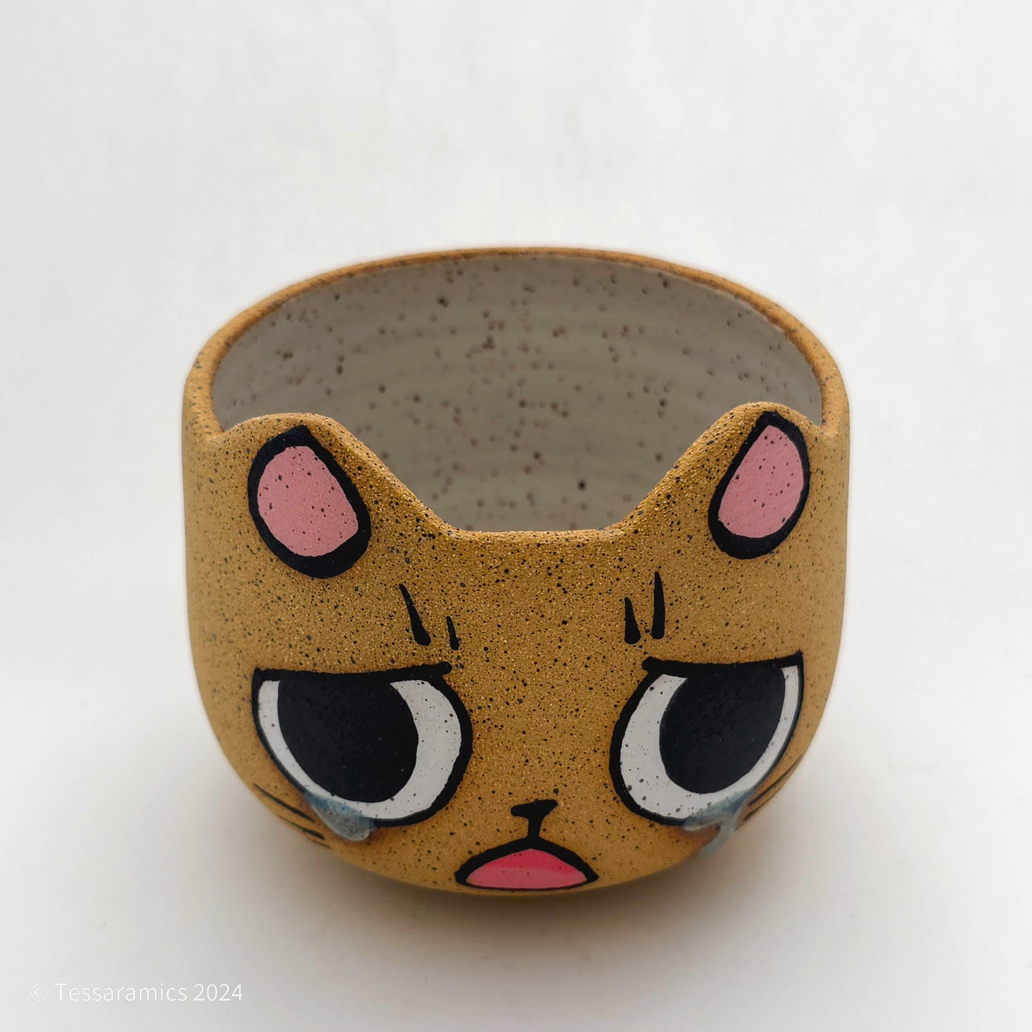 Sad Cat Head Planter *