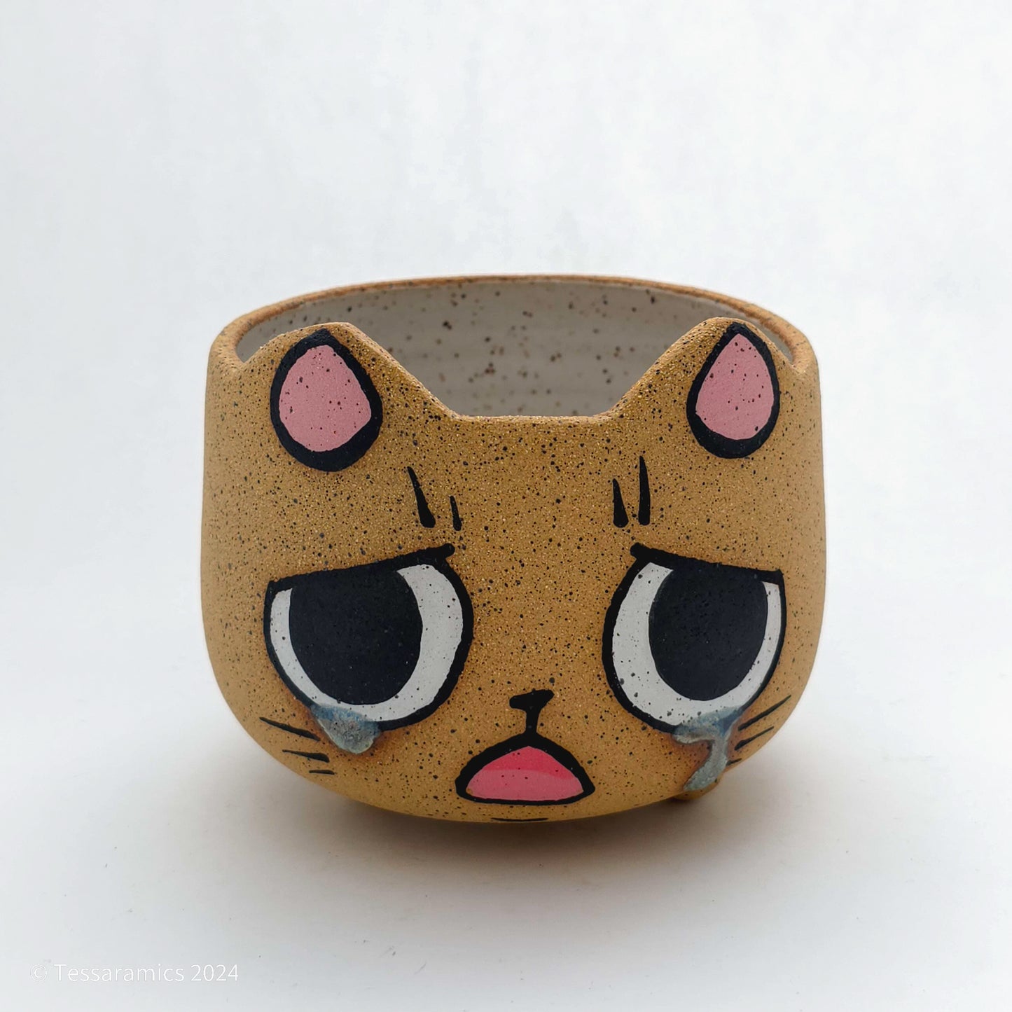 Sad Cat Head Planter *