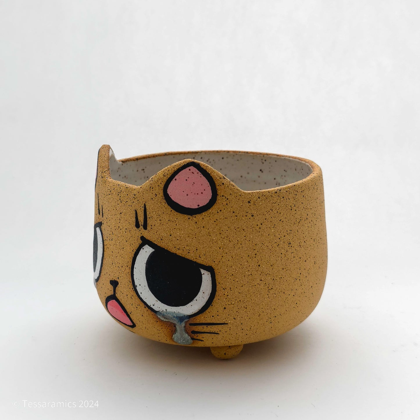 Sad Cat Head Planter *
