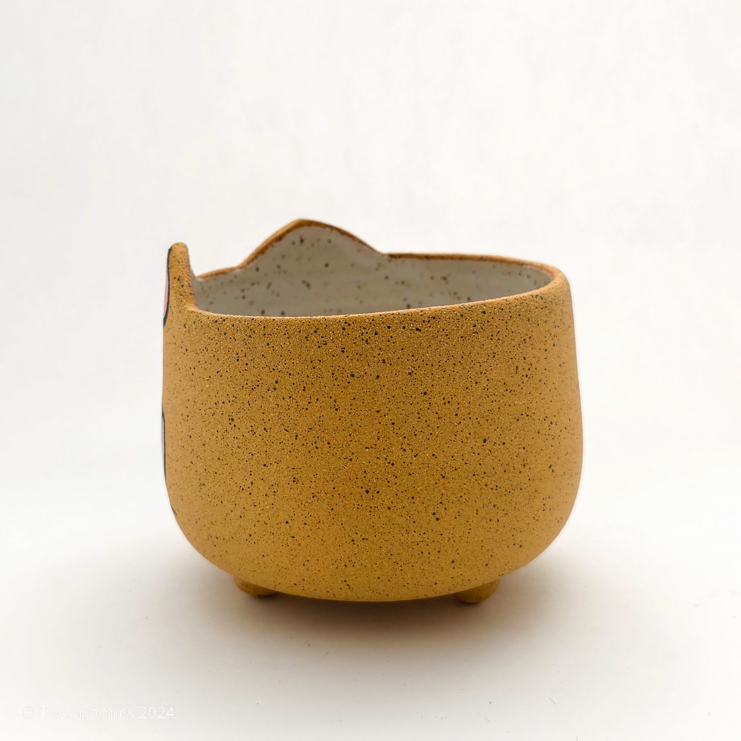 Sad Cat Head Planter *