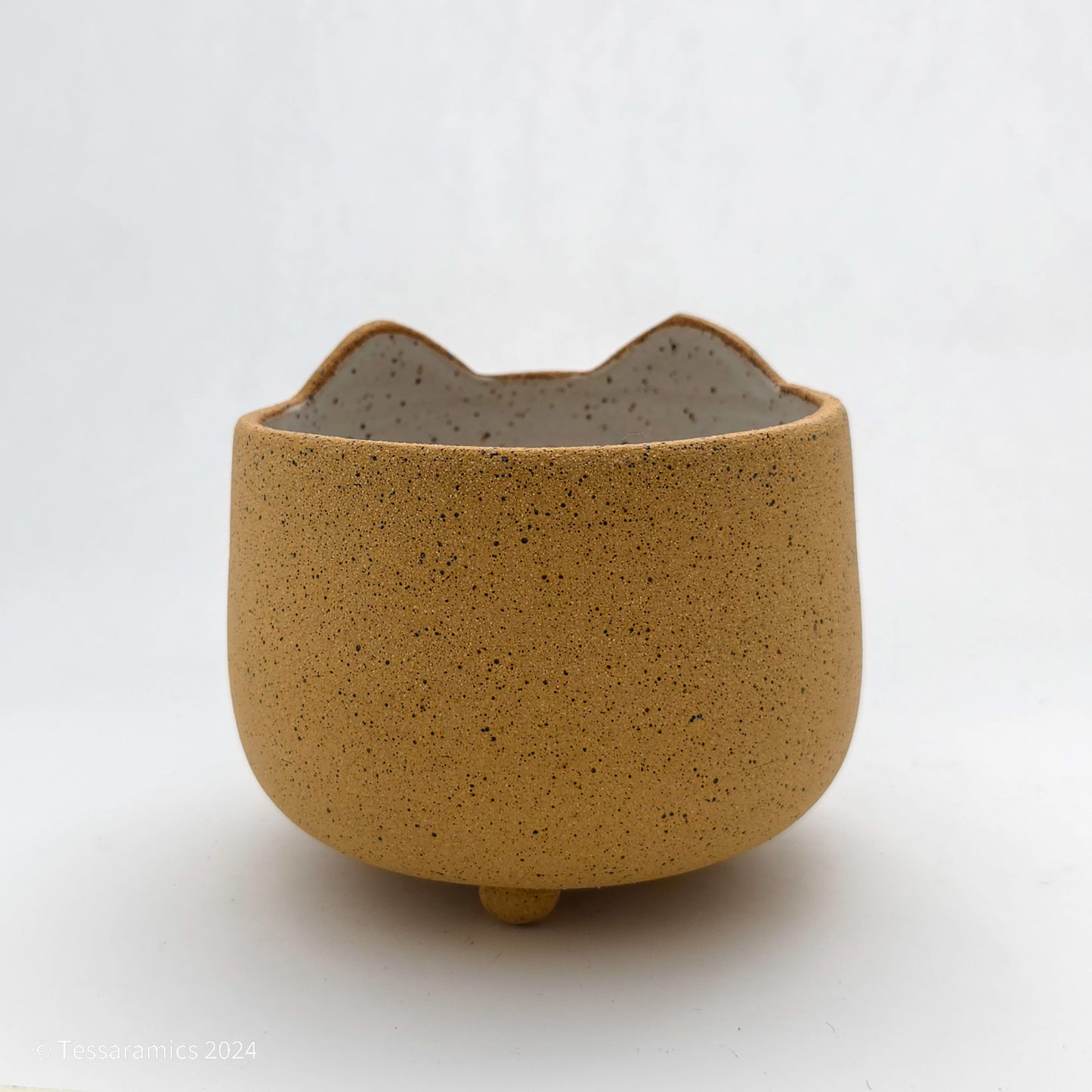 Sad Cat Head Planter *