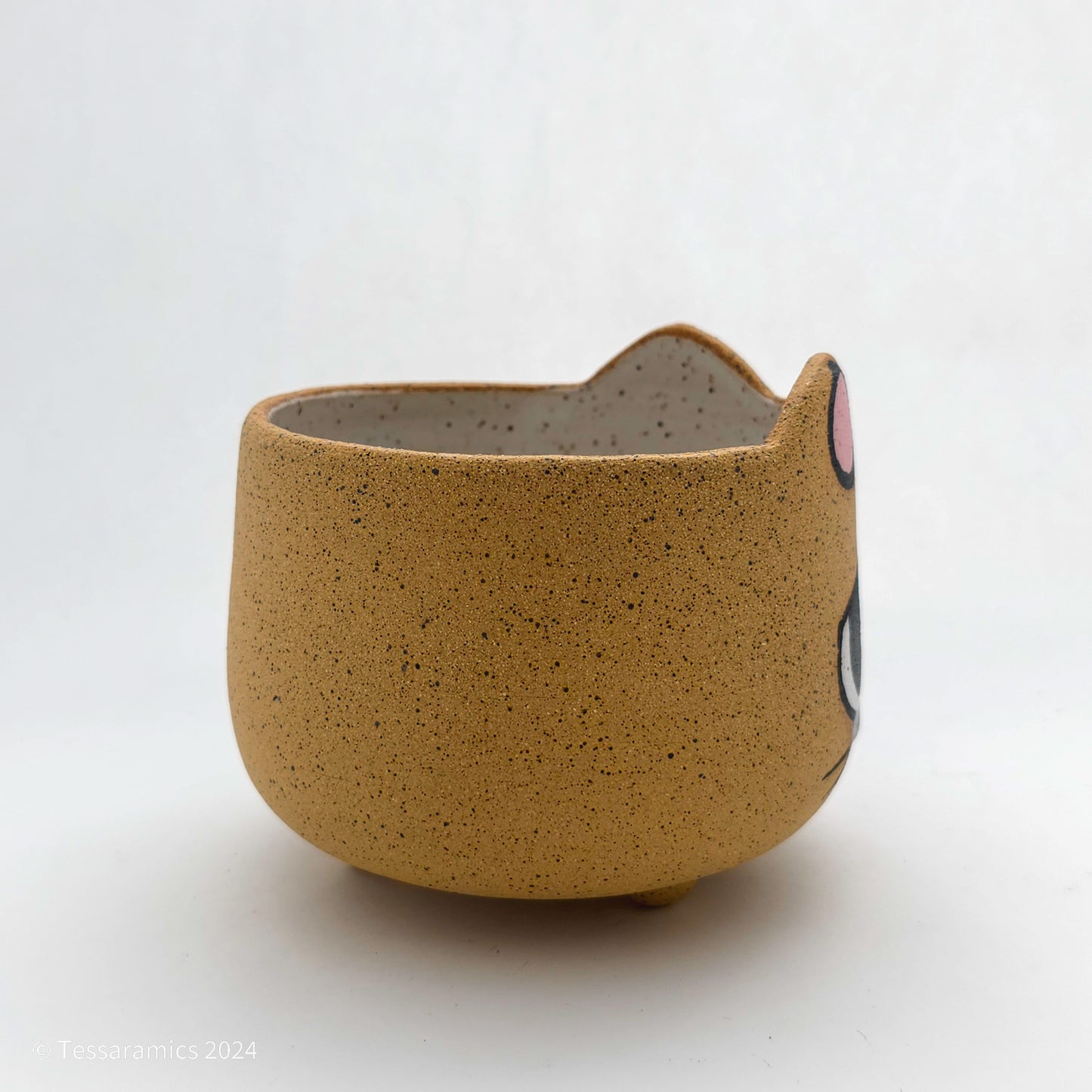 Sad Cat Head Planter *