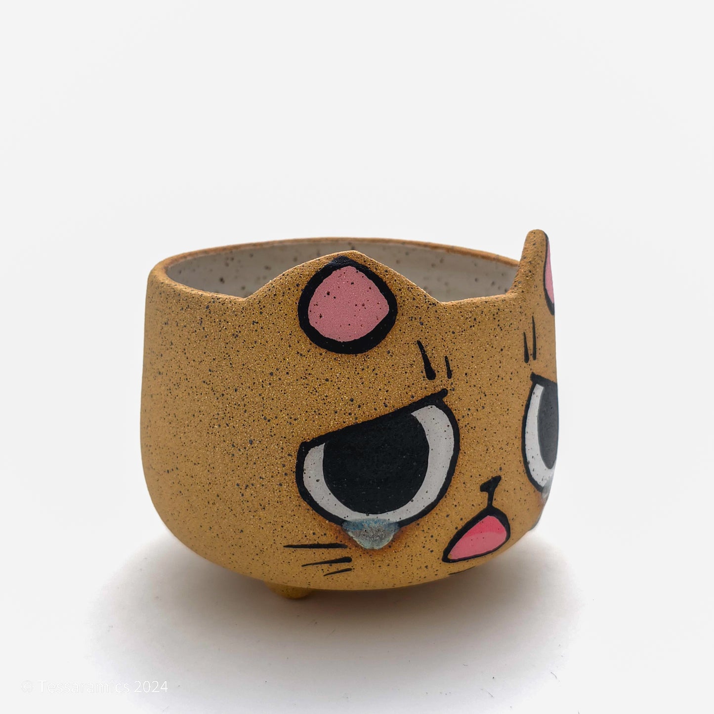 Sad Cat Head Planter *