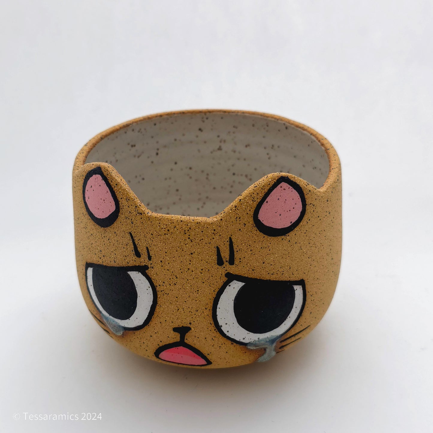 Sad Cat Head Planter *