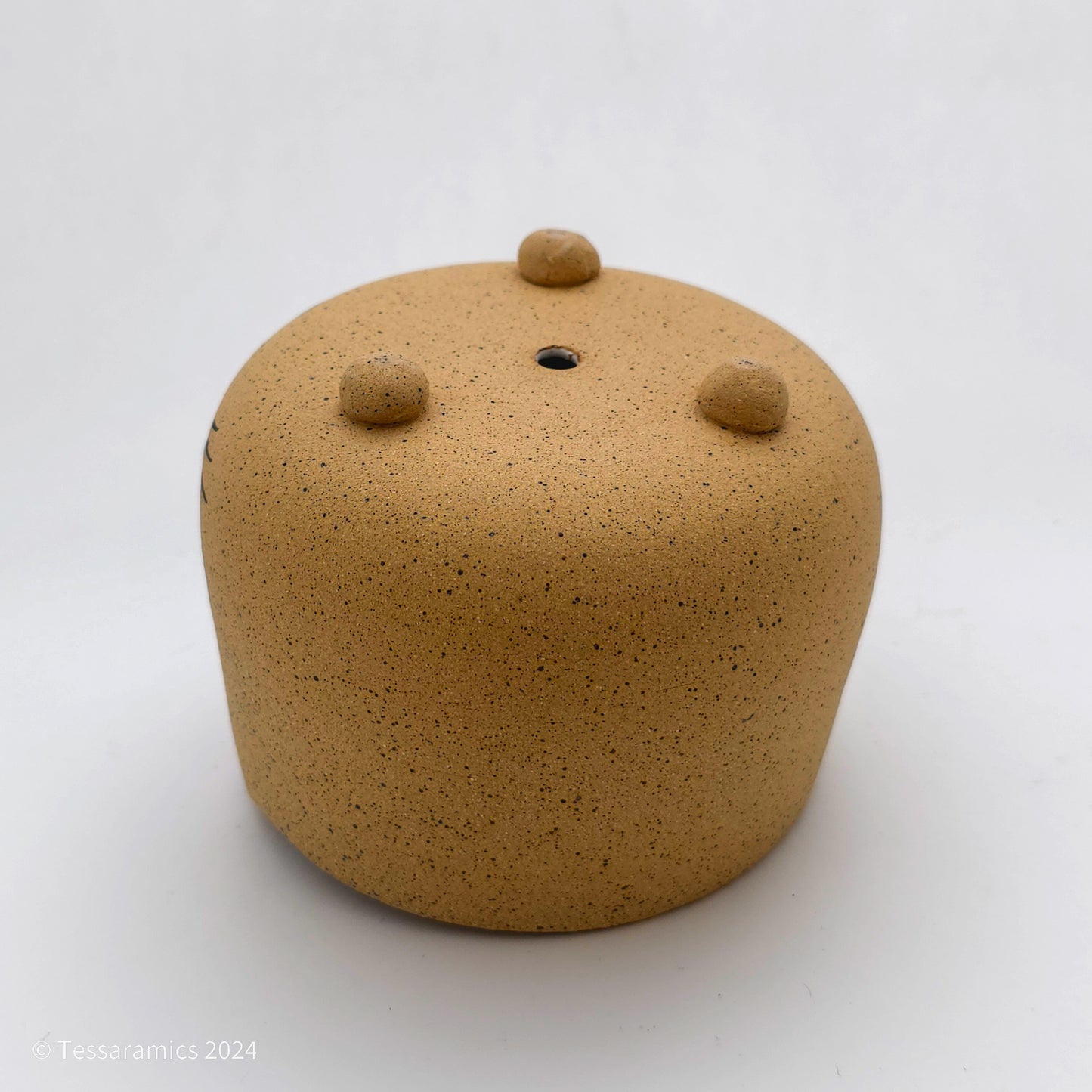 Sad Cat Head Planter *