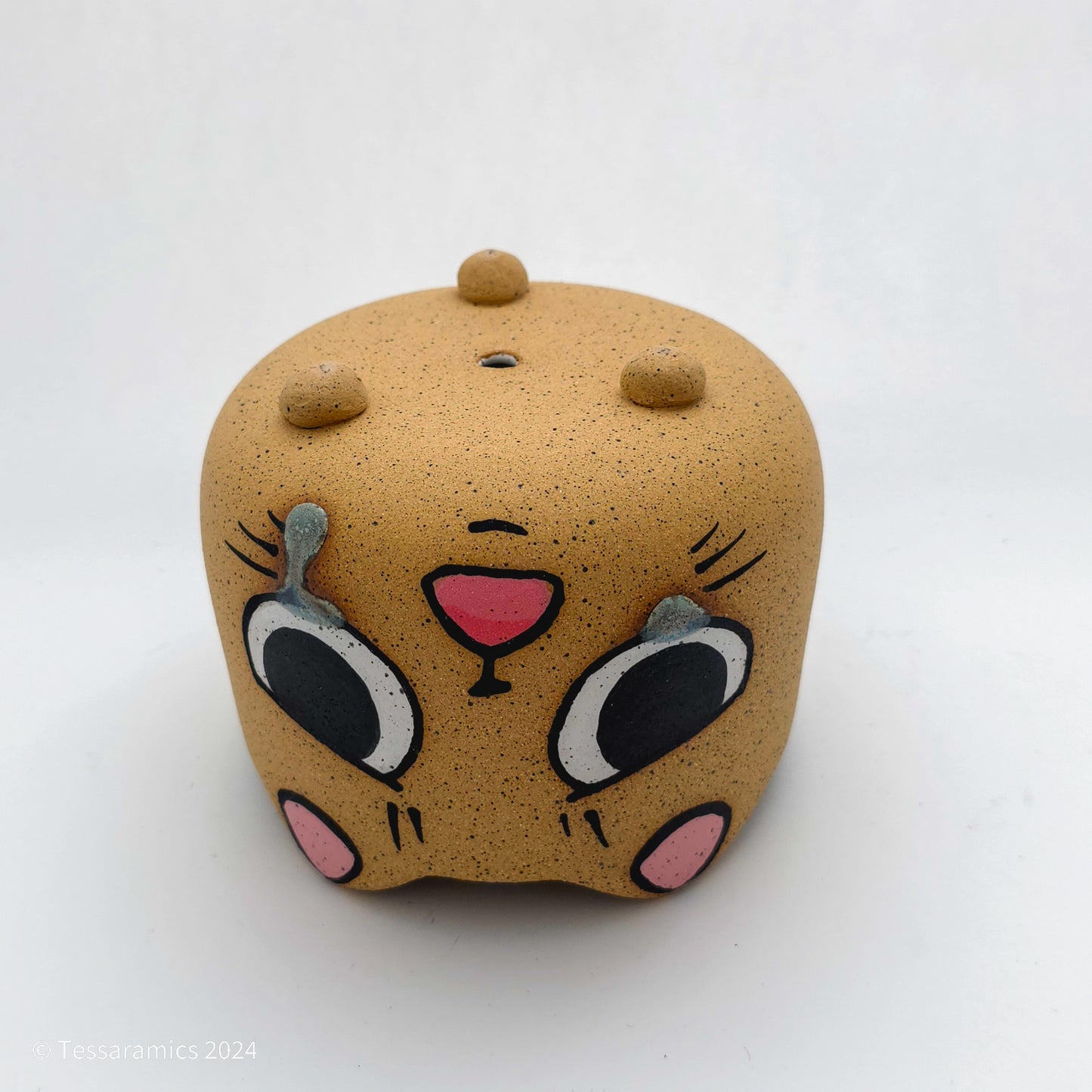 Sad Cat Head Planter *