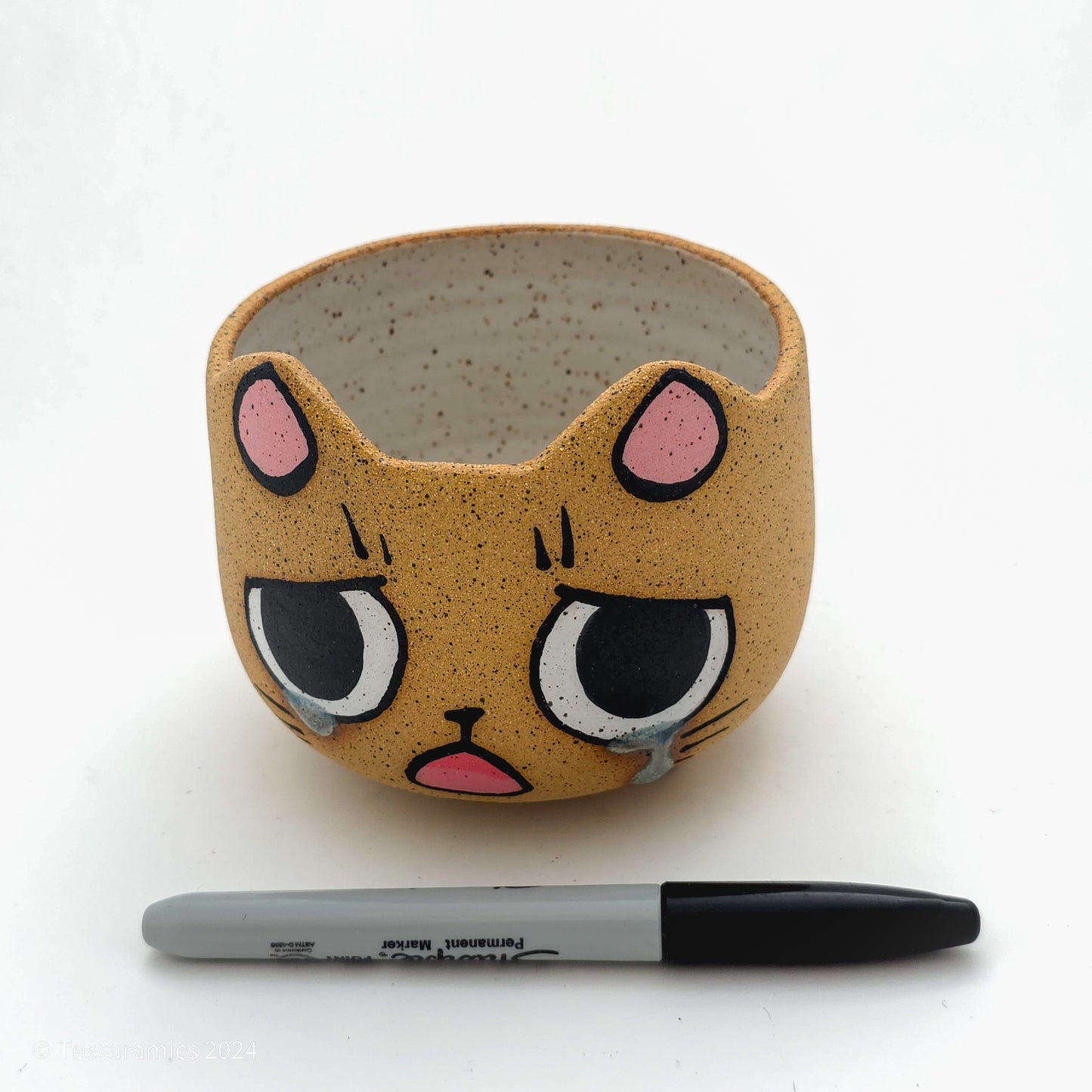 Sad Cat Head Planter *