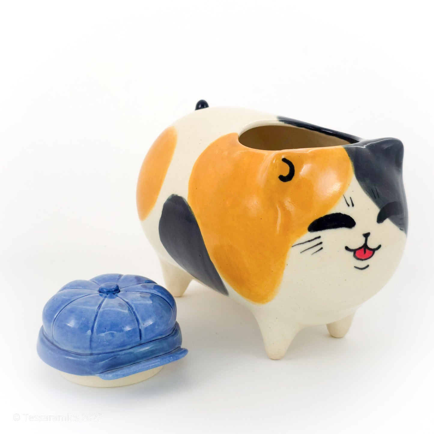 Newsboy Hat Calico Cat