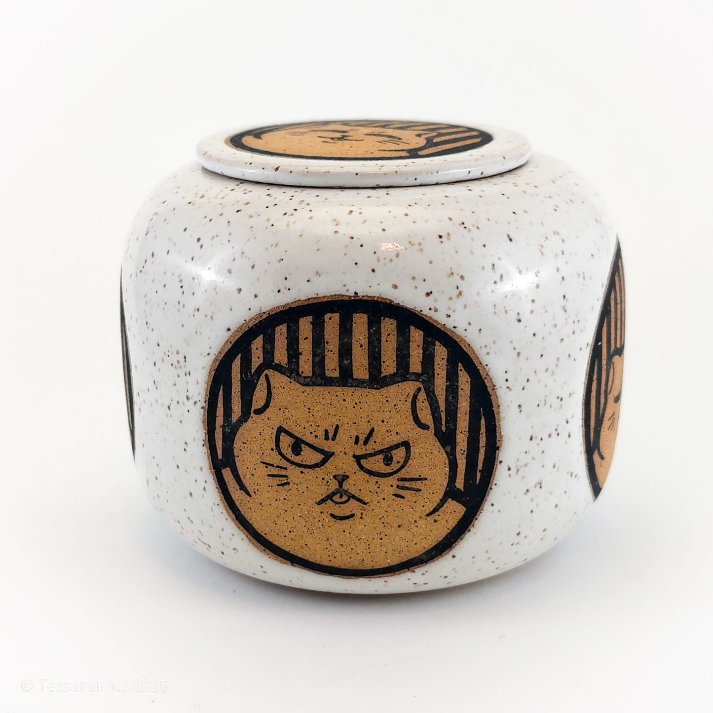 Cat Jar