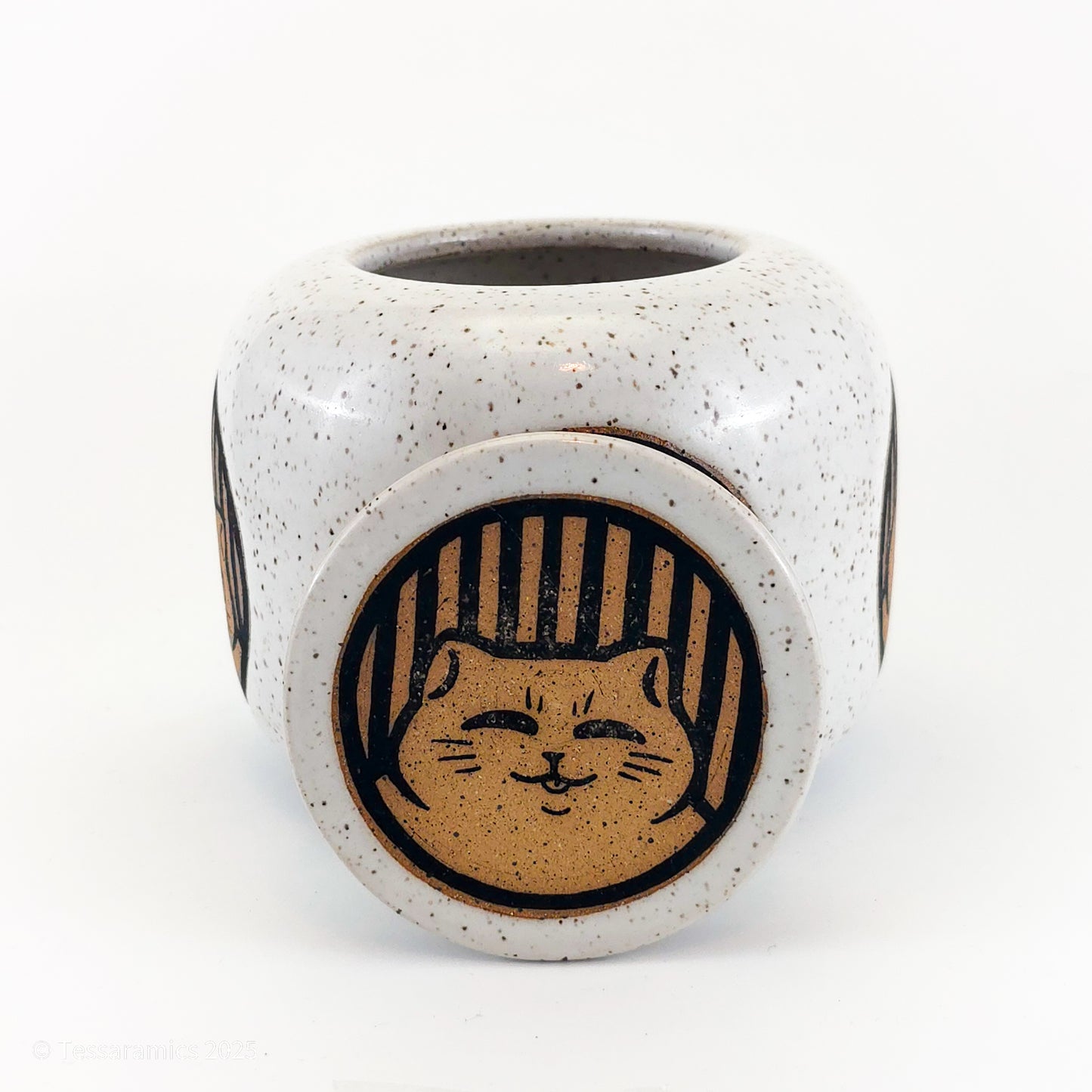 Cat Jar