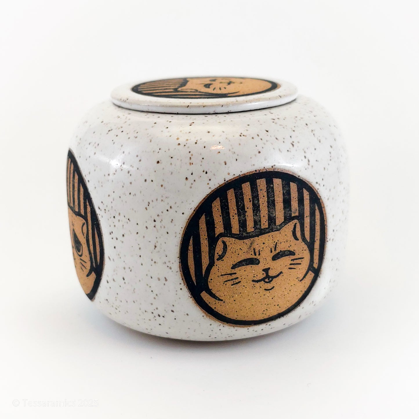 Cat Jar