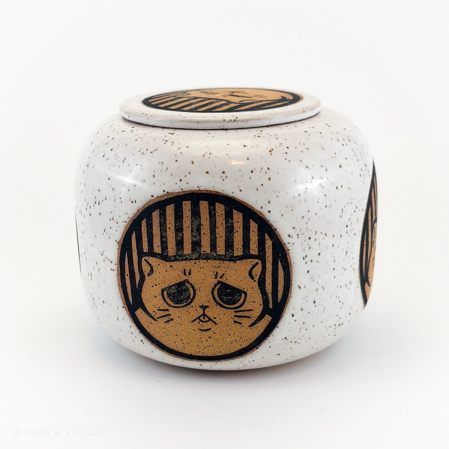 Cat Jar