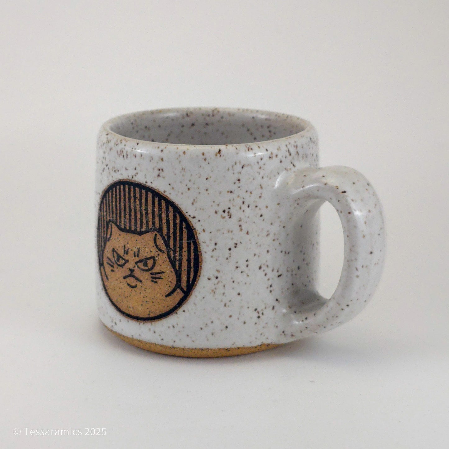 12 oz Chonky Angry Cat Mug*