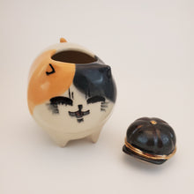 Load image into Gallery viewer, Newsboy Hat Calico Cat (DISCOUNTED)