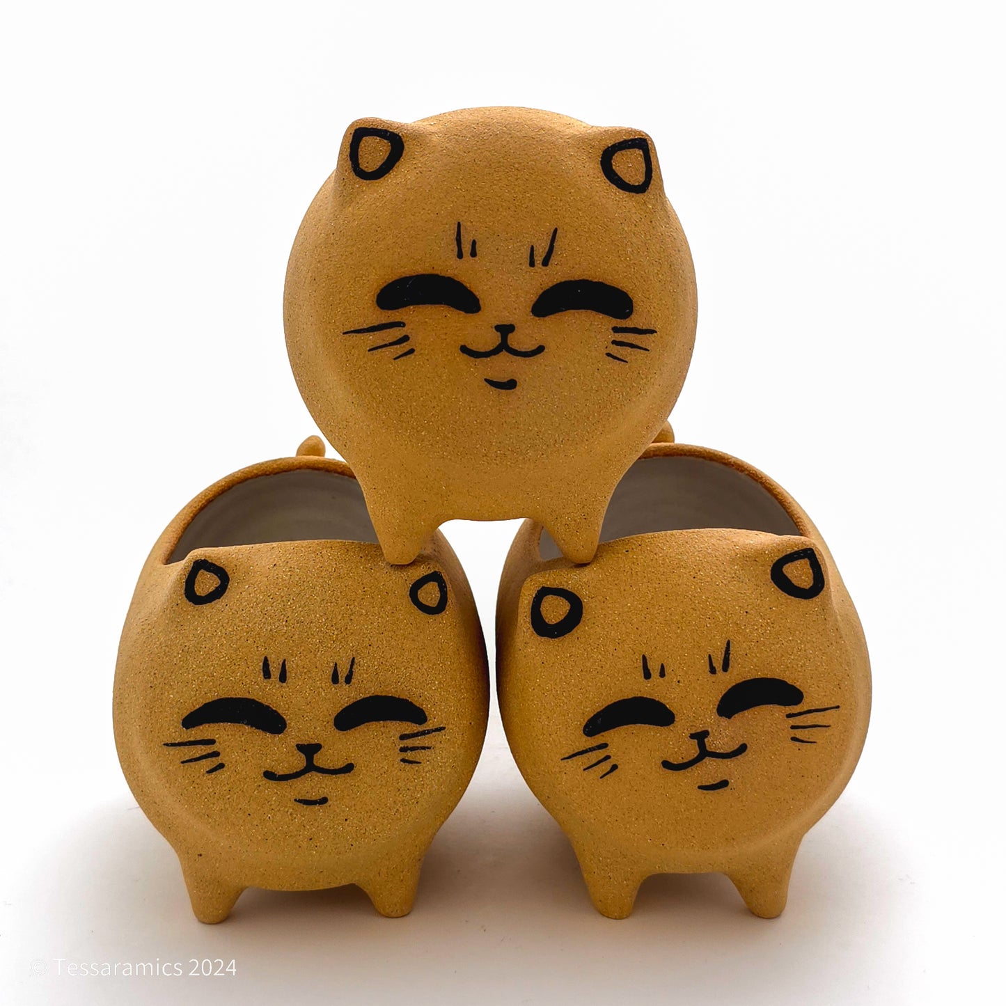 Standing Cat Planter*