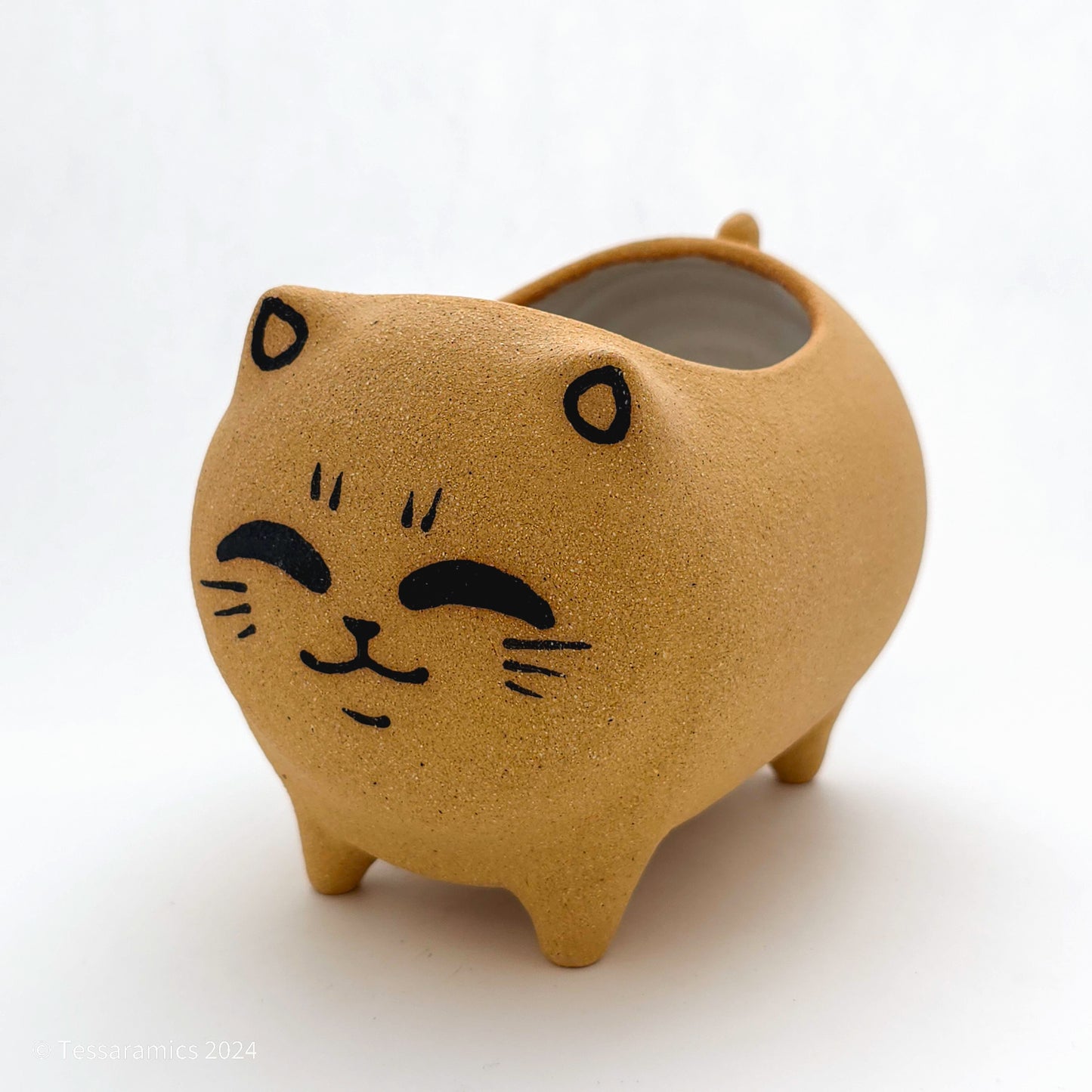 Standing Cat Planter*