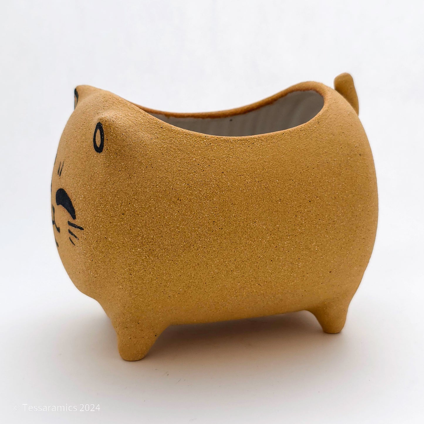 Standing Cat Planter*