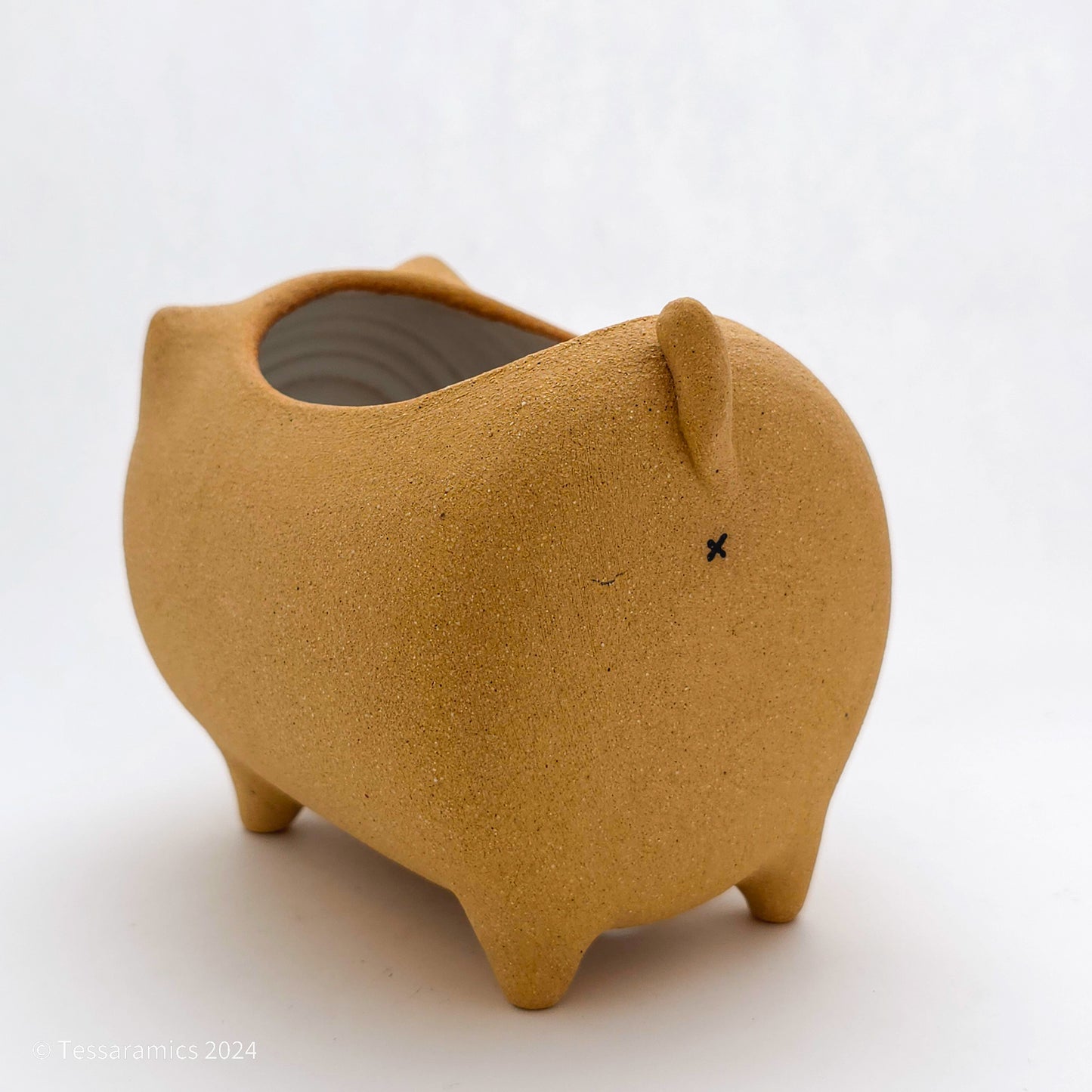 Standing Cat Planter*