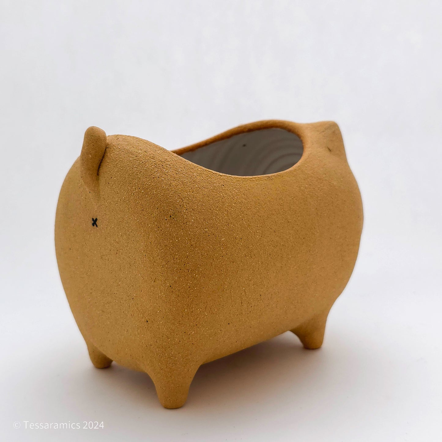 Standing Cat Planter*