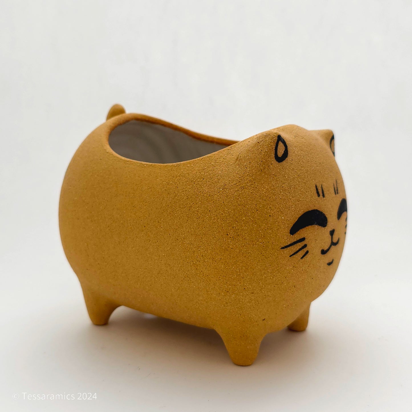 Standing Cat Planter*