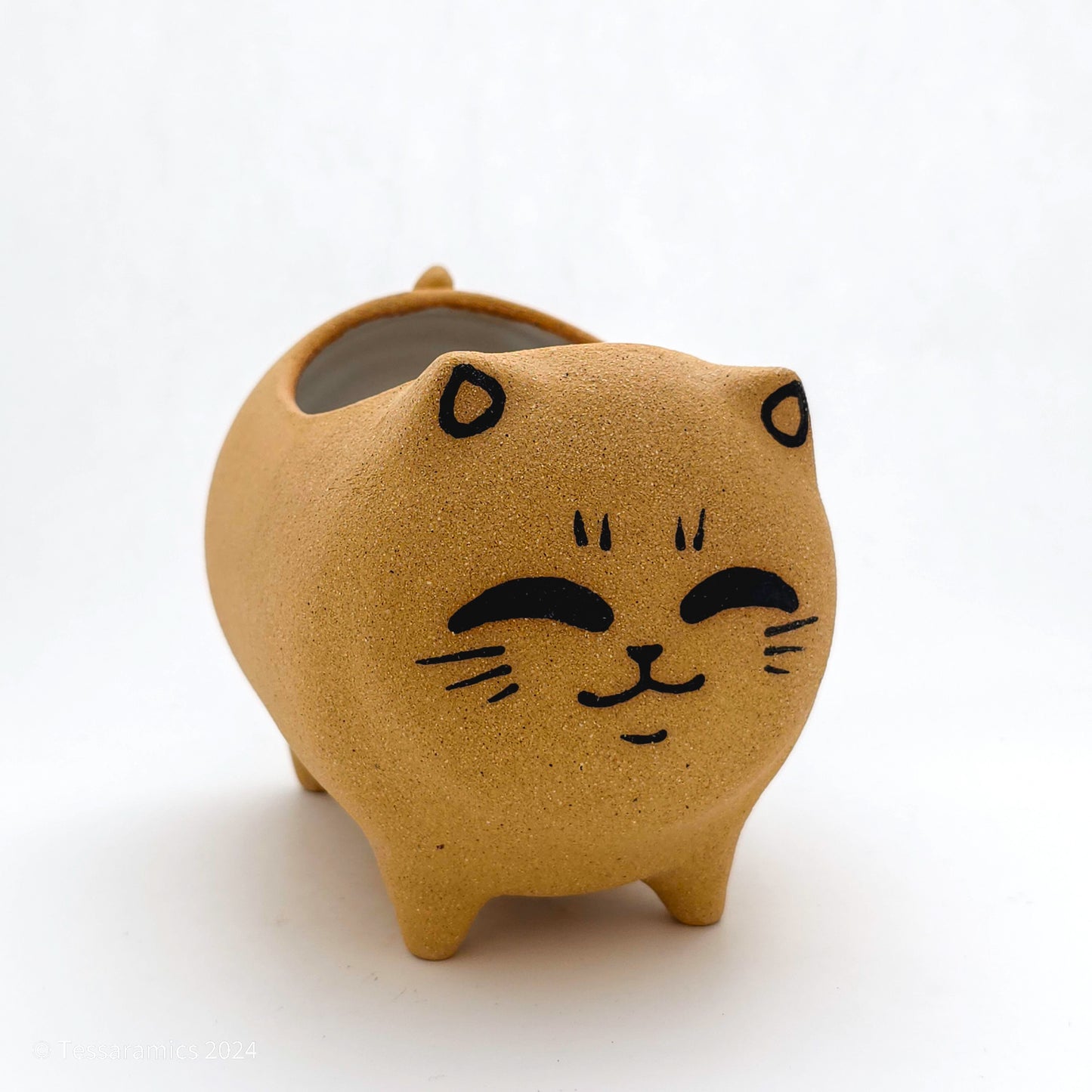 Standing Cat Planter*