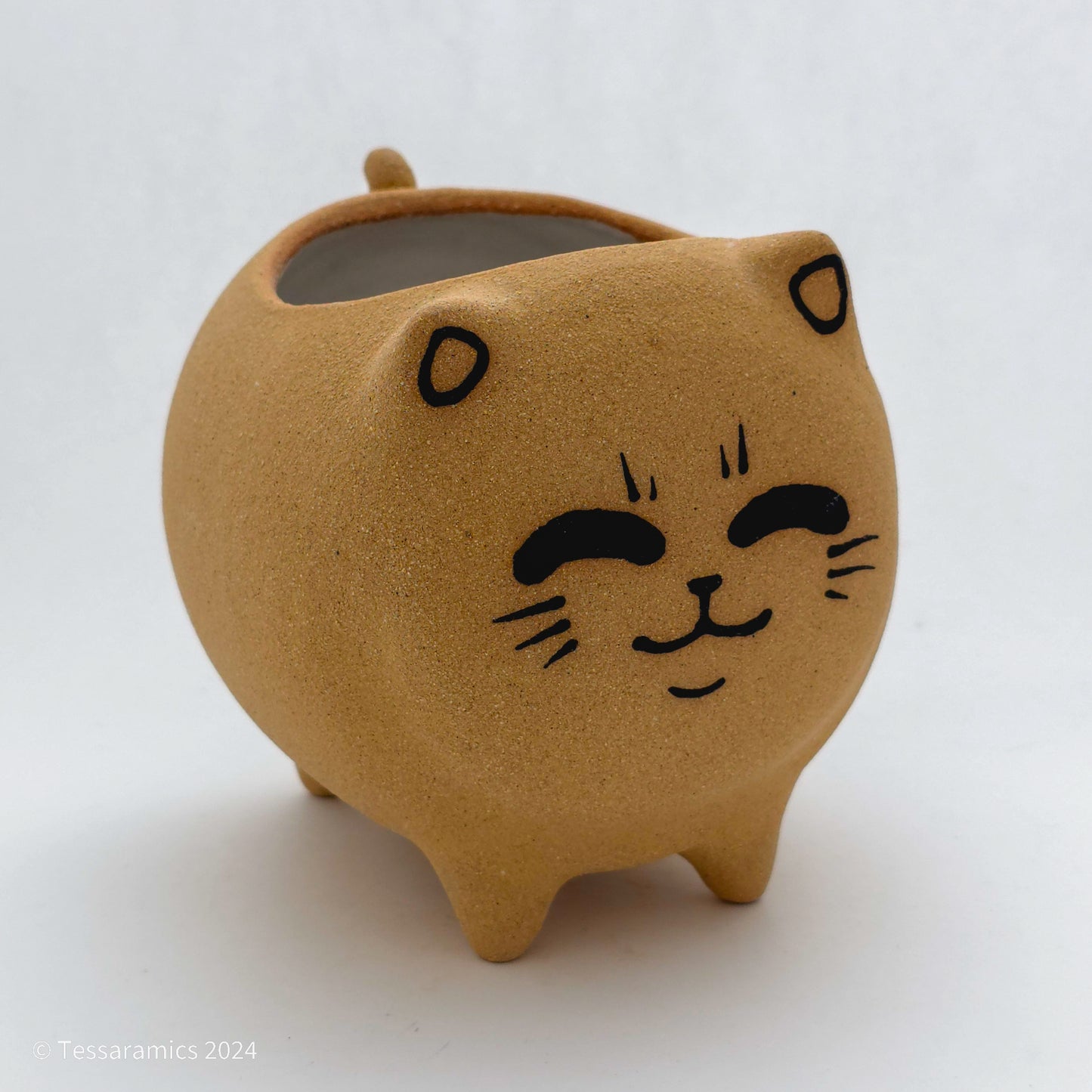 Chonky Standing Cat Planter