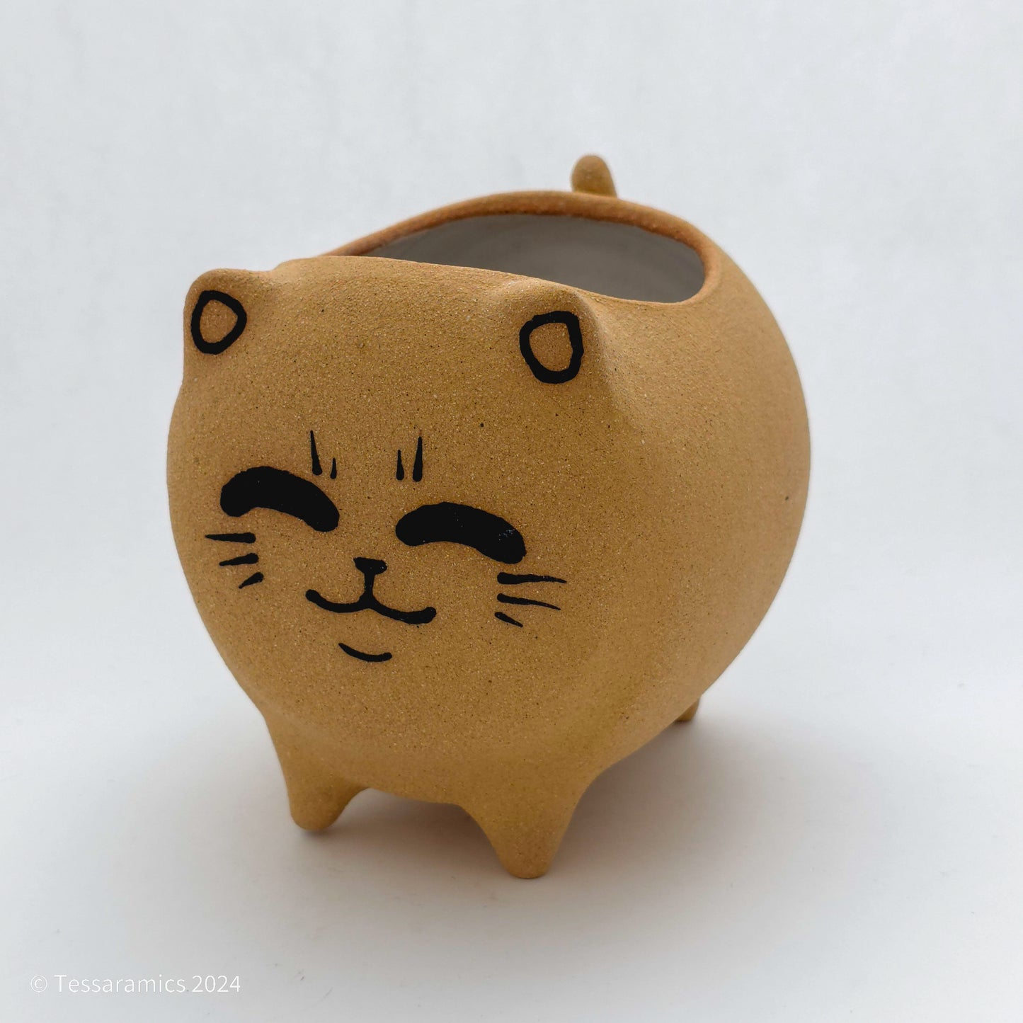 Chonky Standing Cat Planter