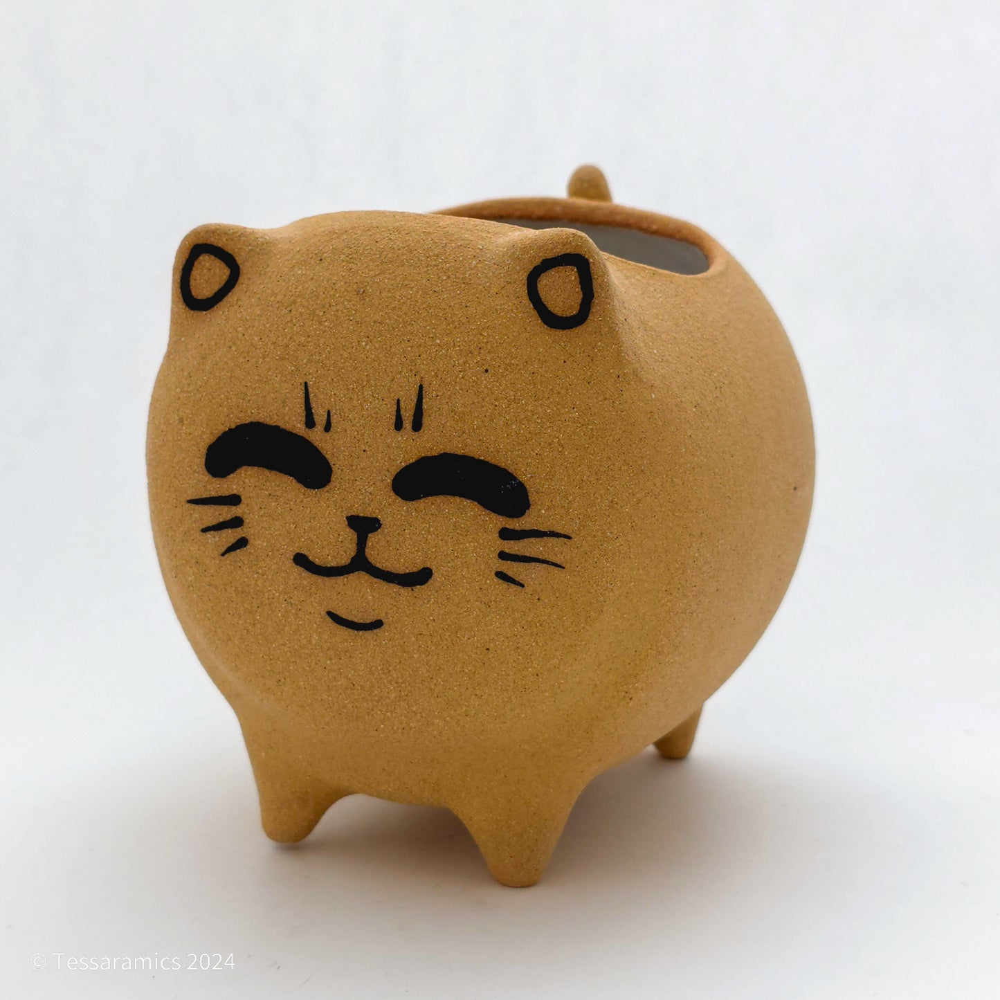 Chonky Standing Cat Planter