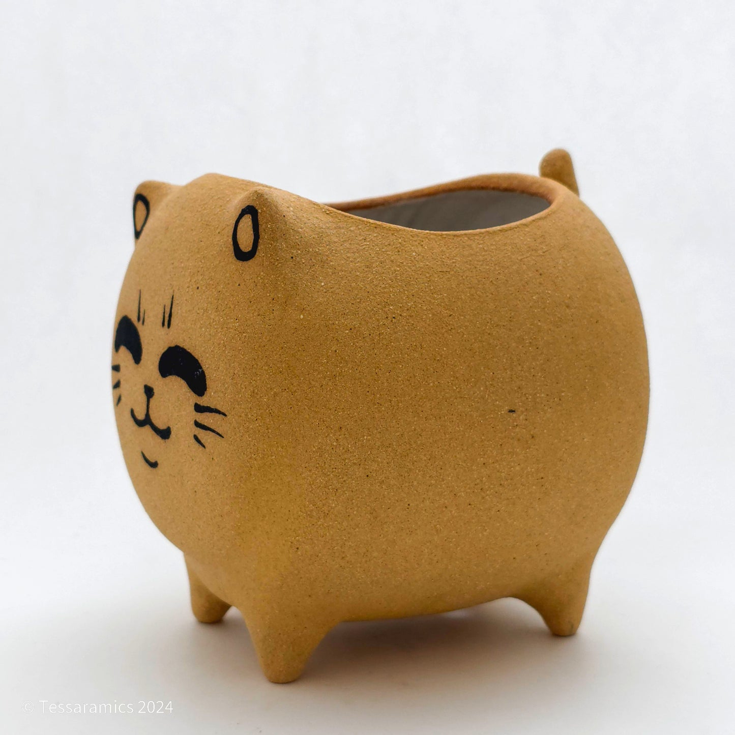 Chonky Standing Cat Planter