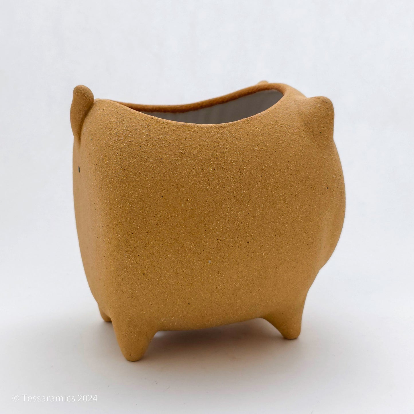 Chonky Standing Cat Planter