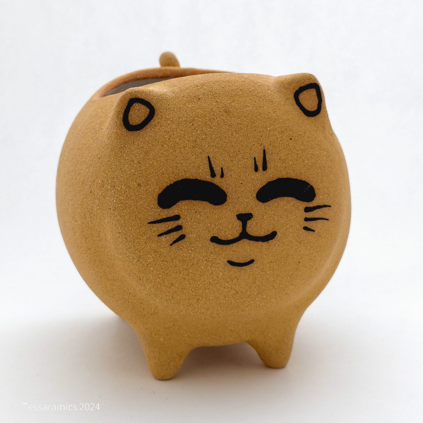 Chonky Standing Cat Planter