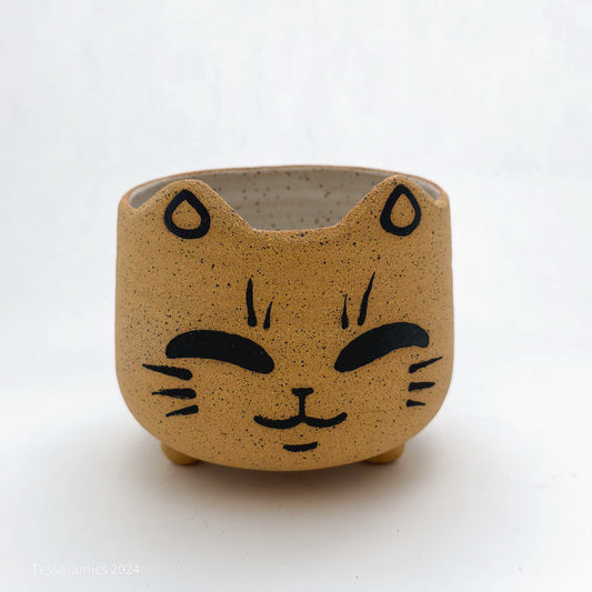 PREORDER Content Cat Head Planter *