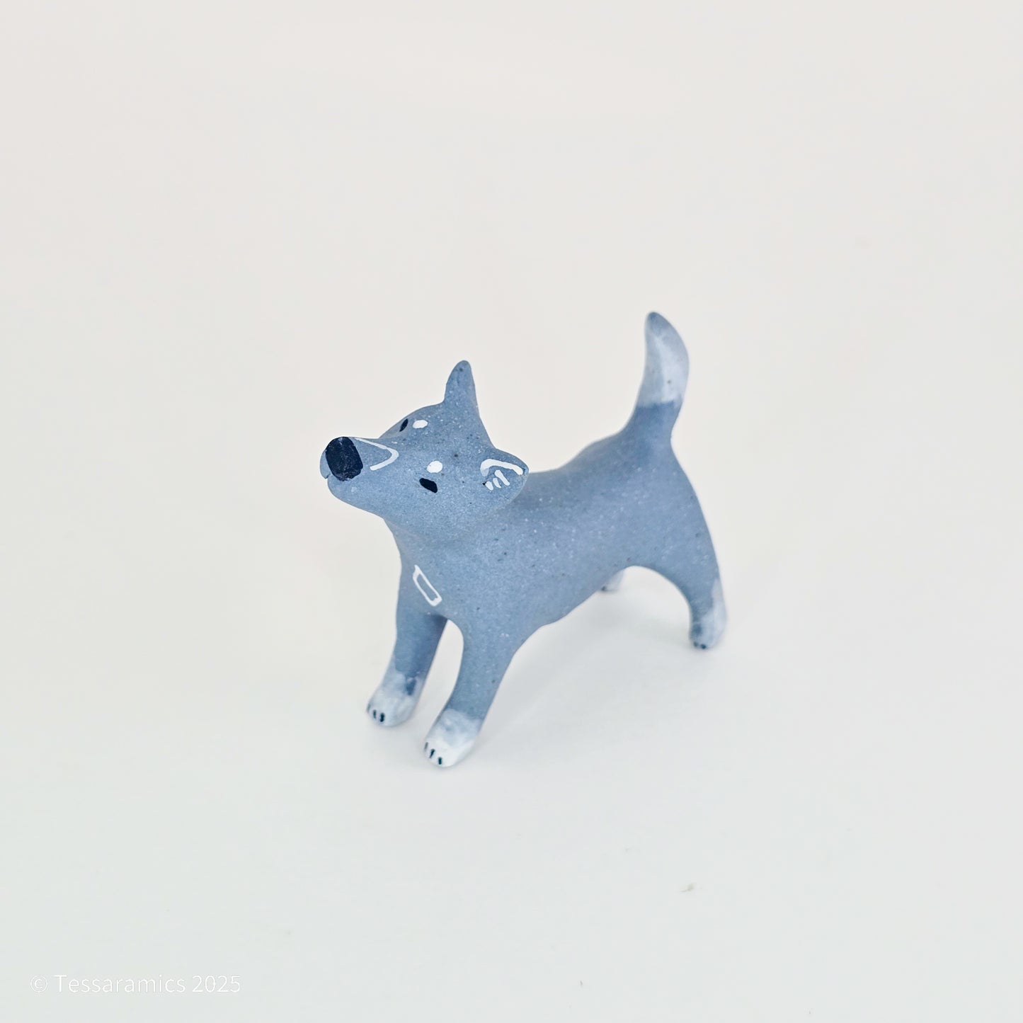 Blue Dog