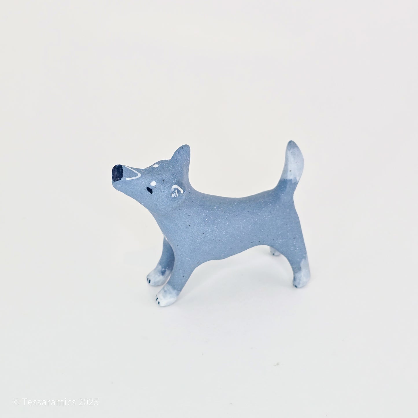 Blue Dog