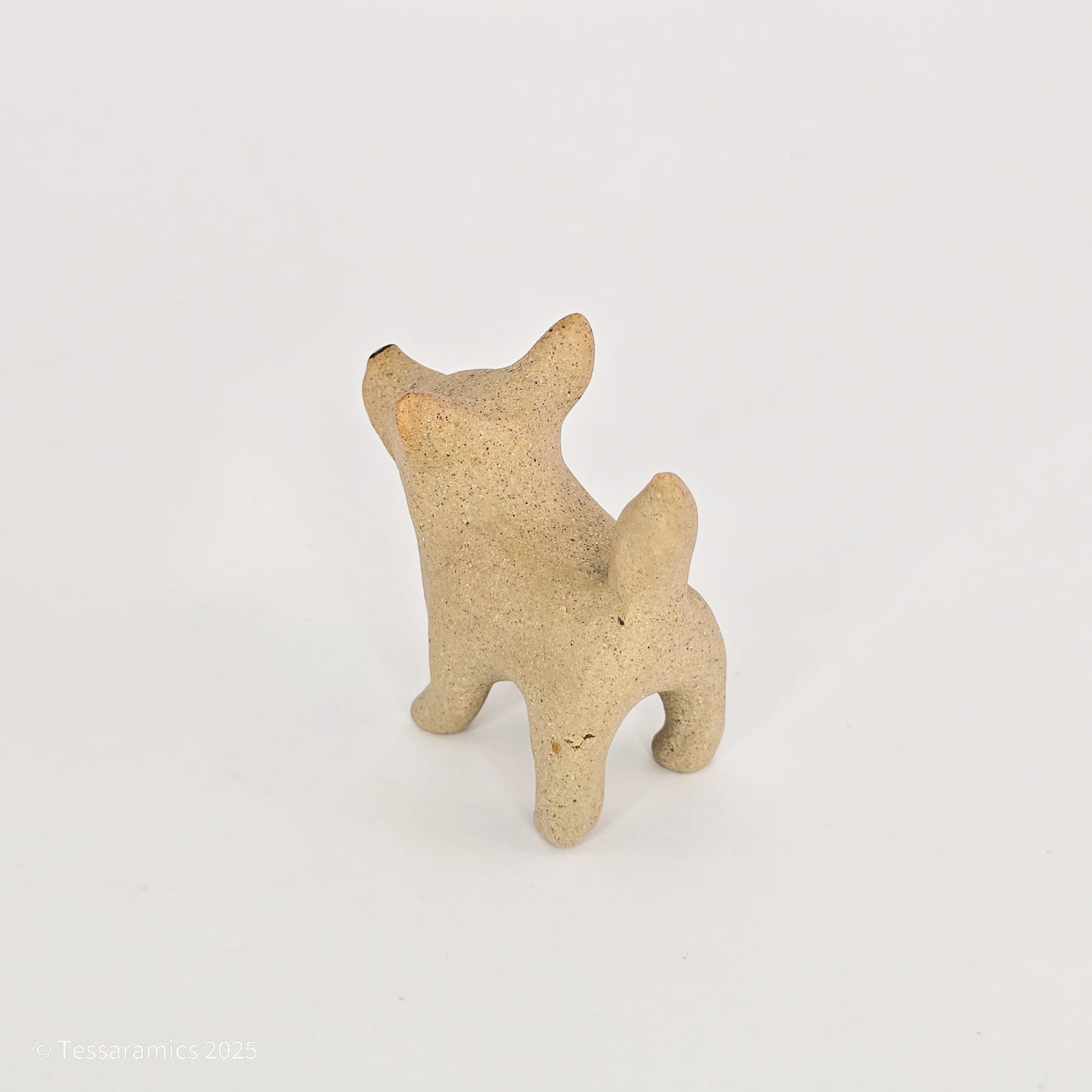 Small Guy