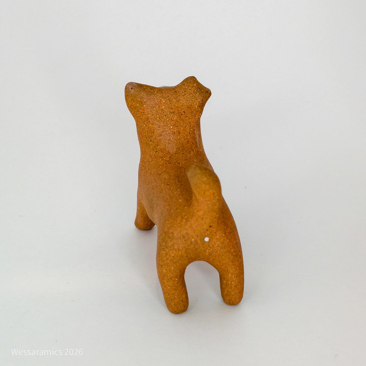 Brown Dog