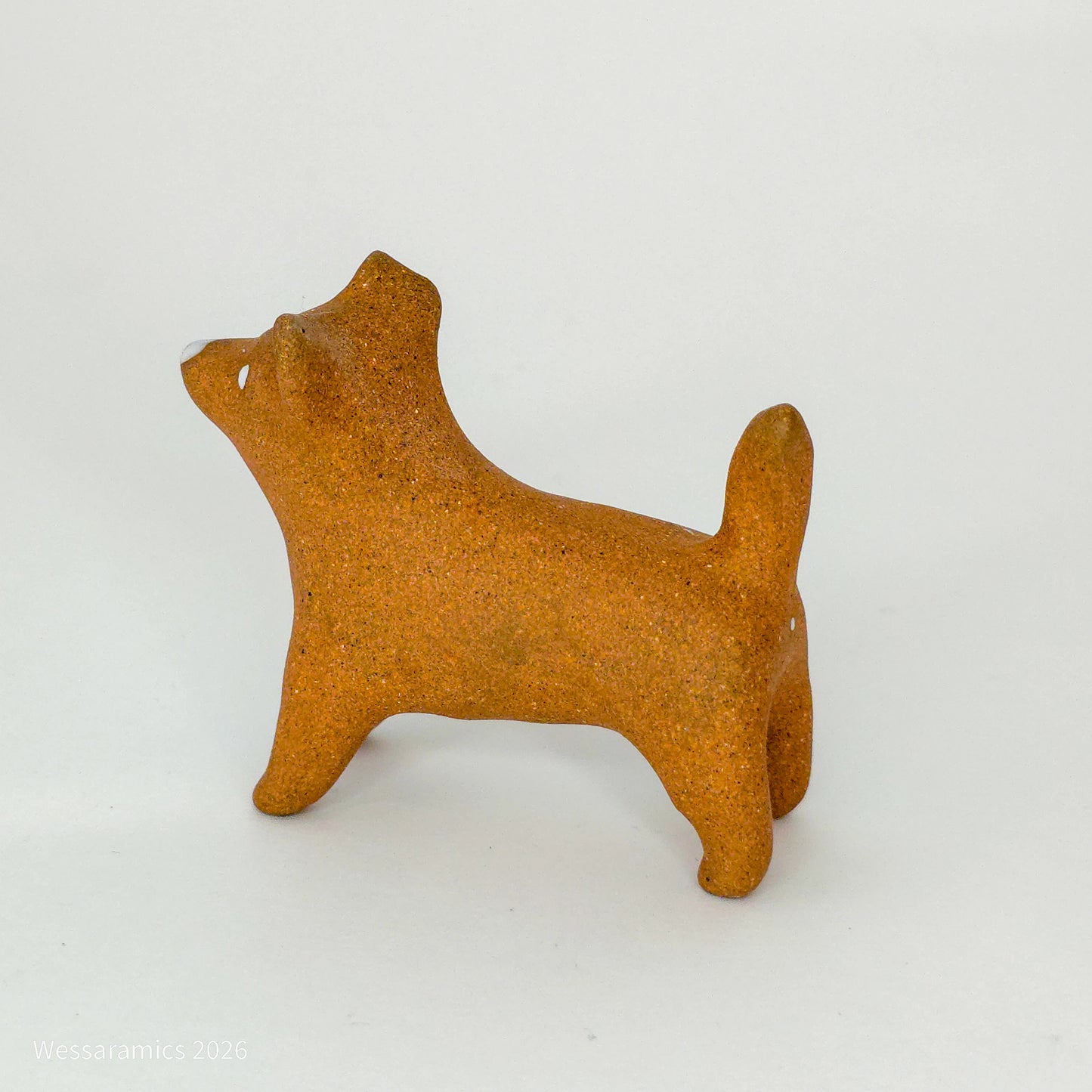 Brown Dog