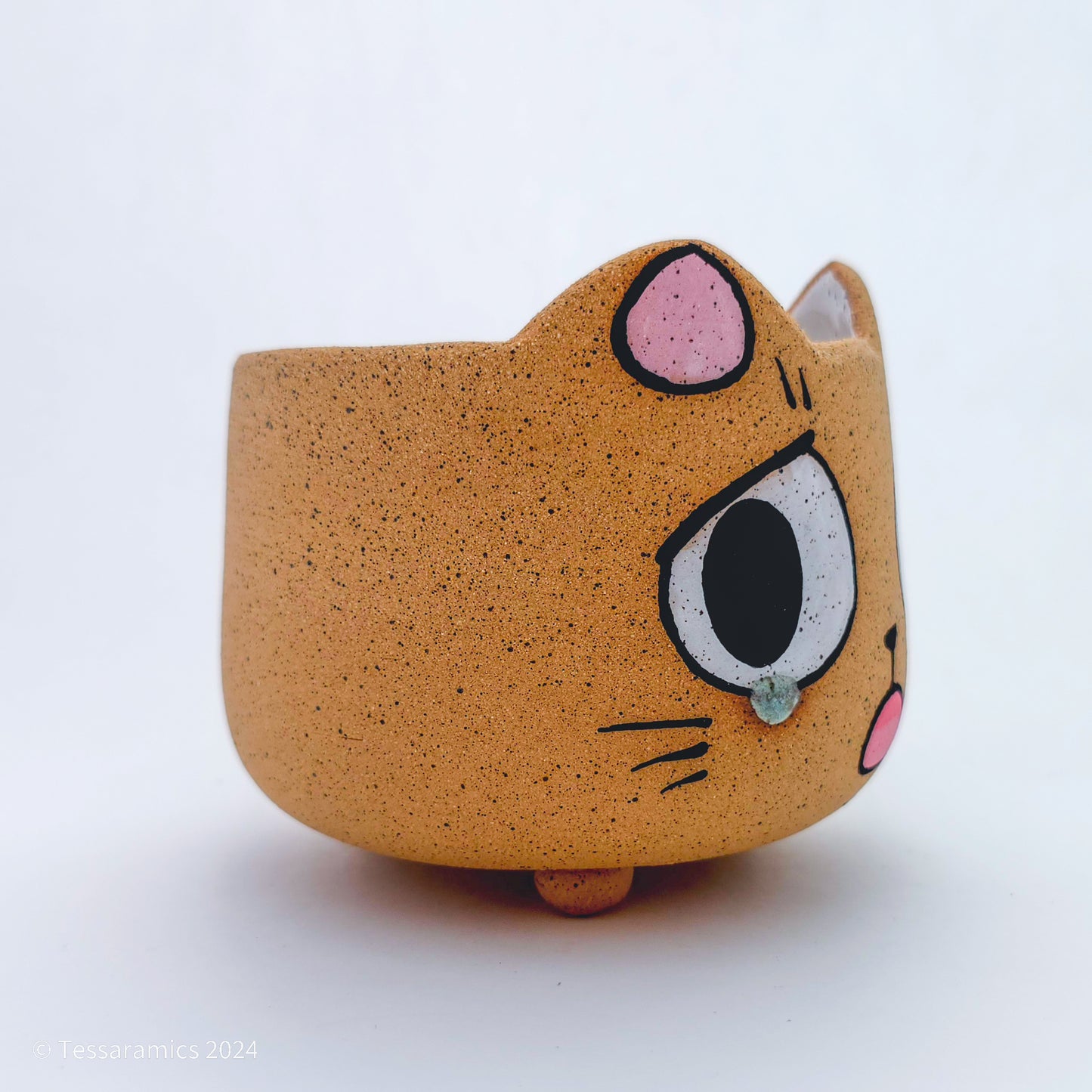 Sad Cat Head Planter