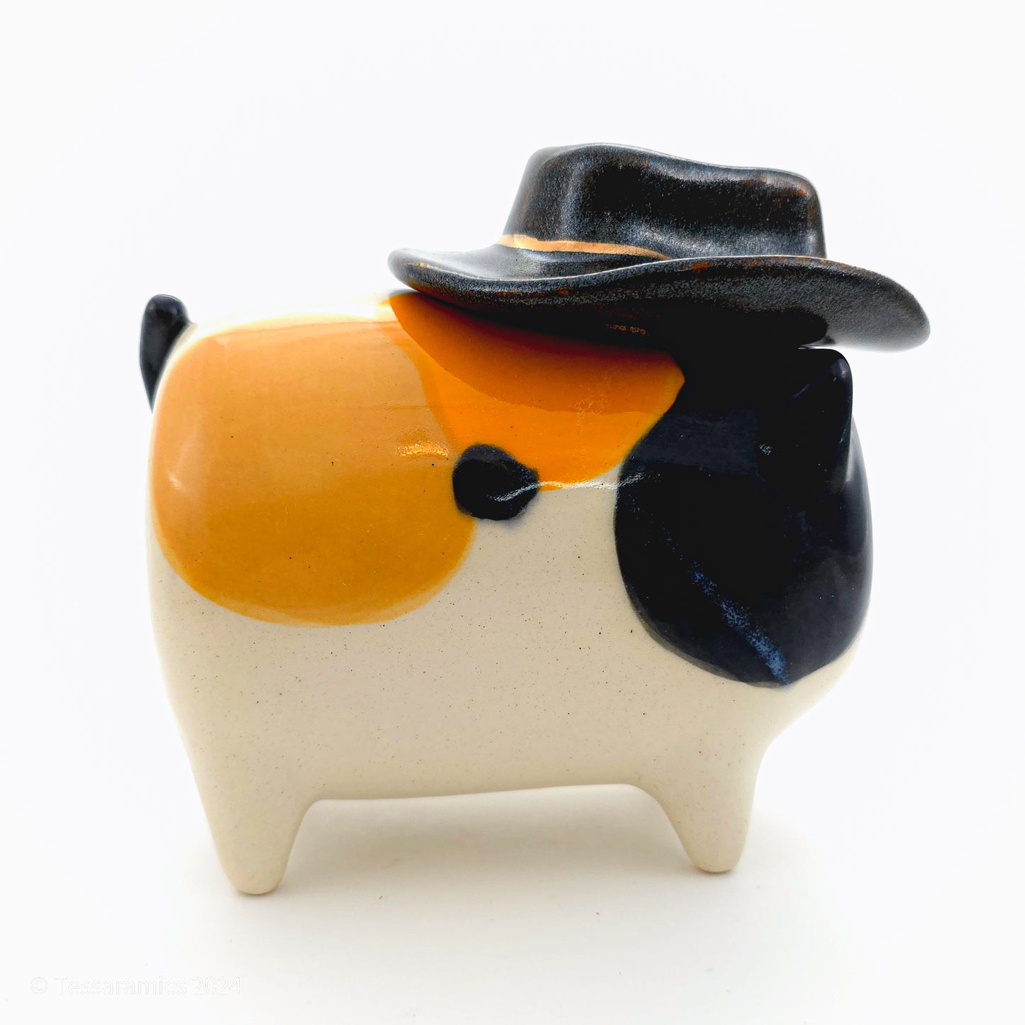 Cowboy Hat Calico Cat