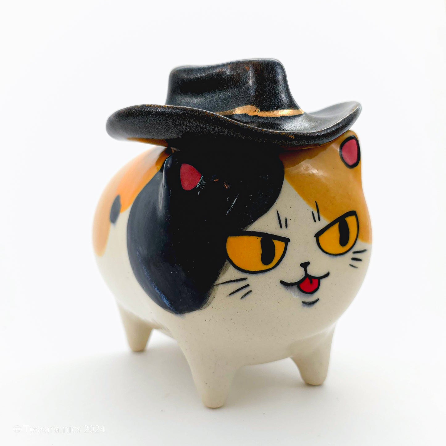 Cowboy Hat Calico Cat