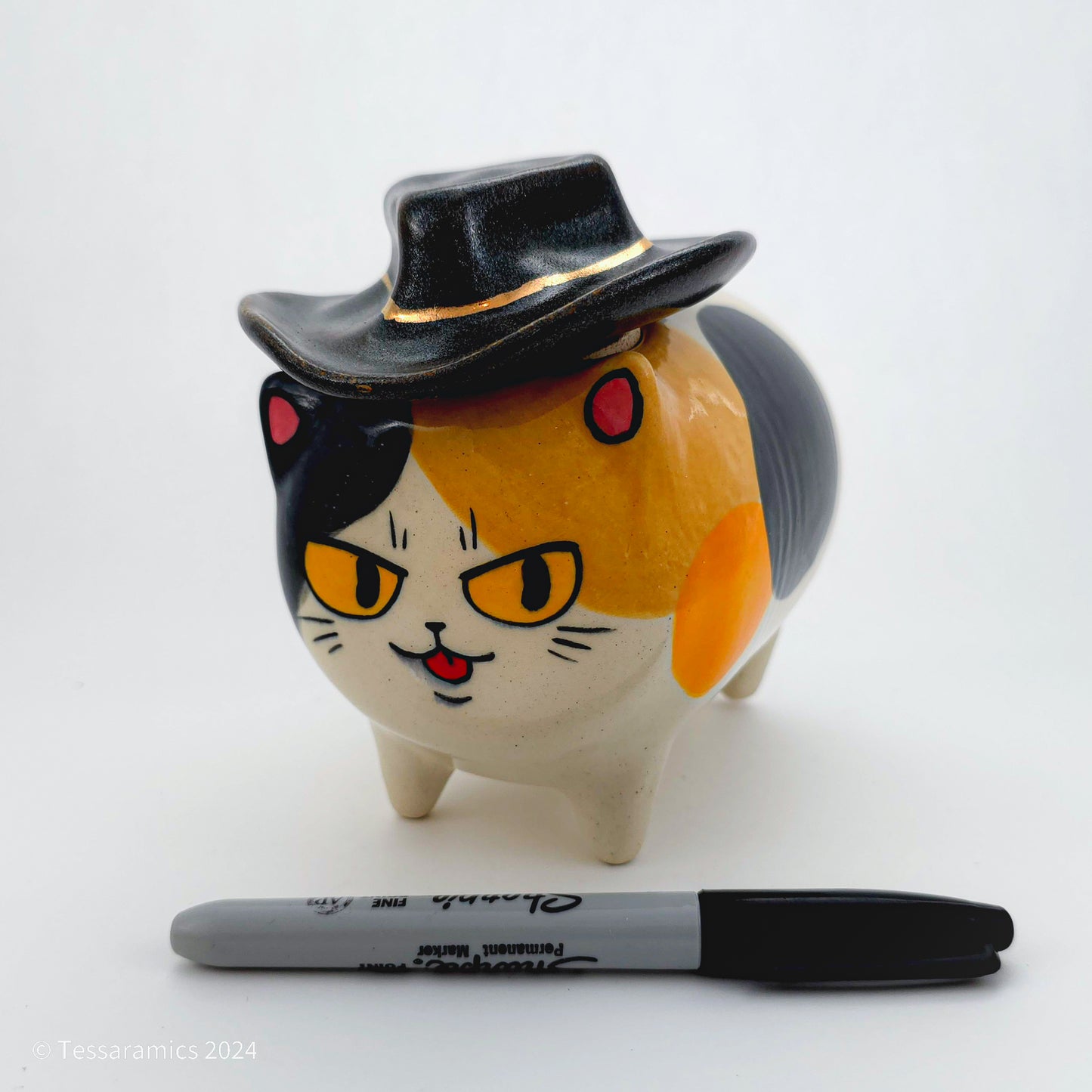 Cowboy Hat Calico Cat