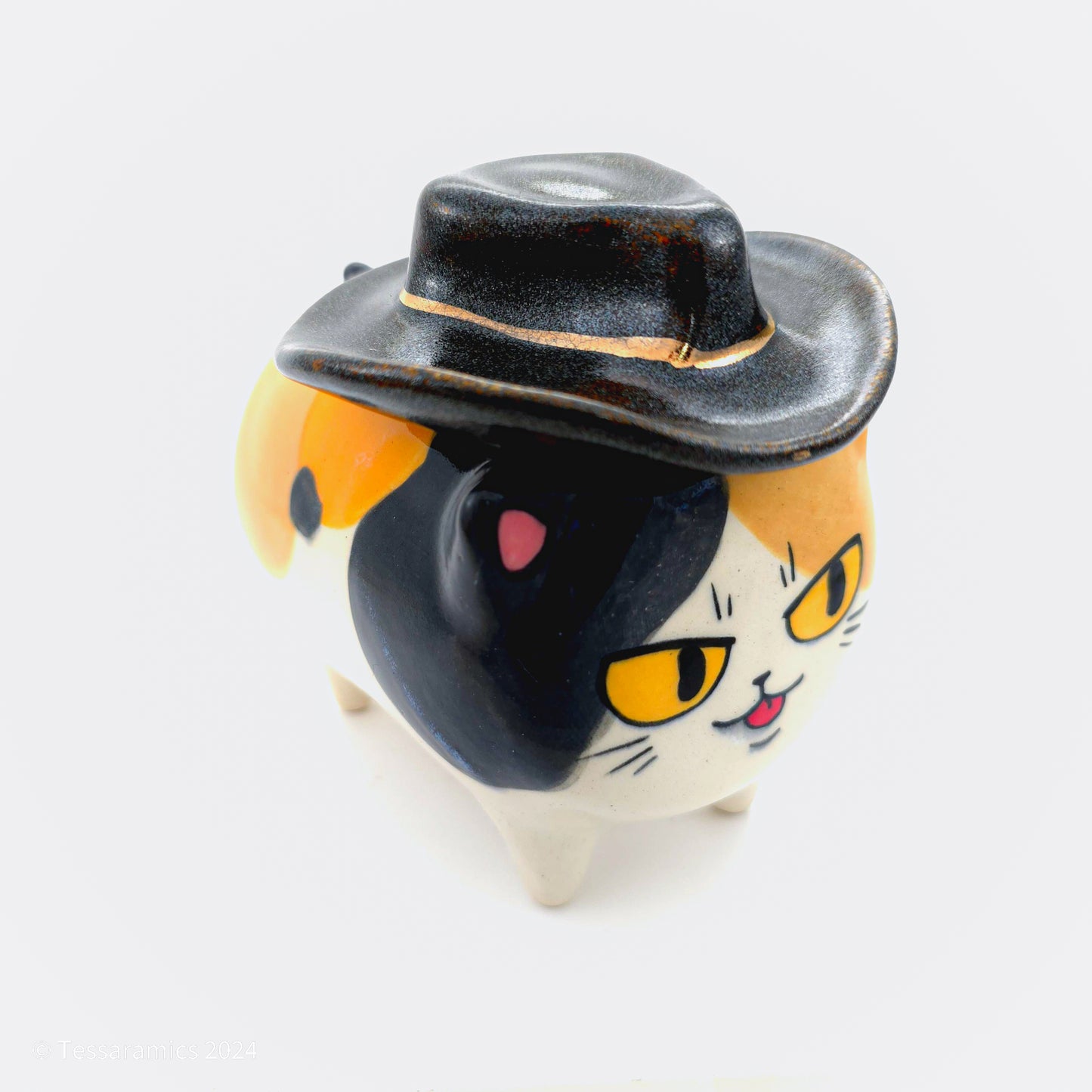 Cowboy Hat Calico Cat