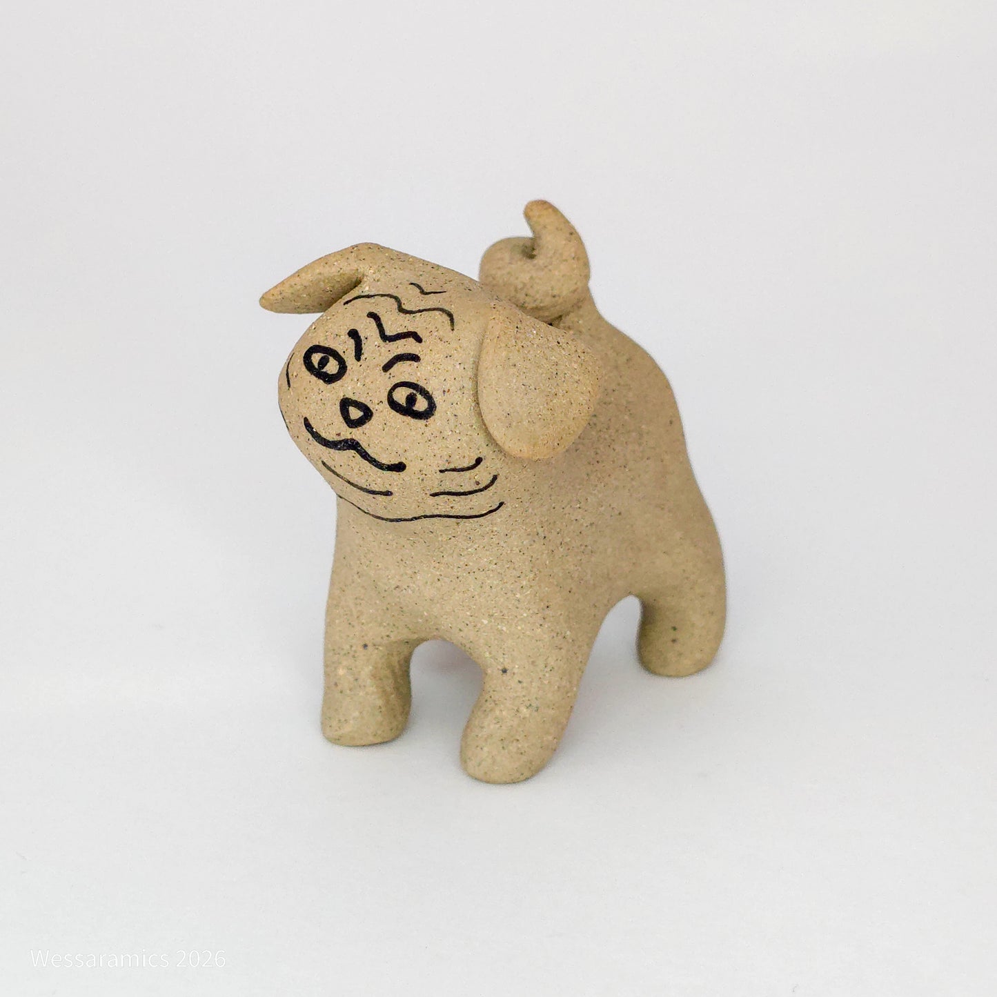 A Normal Pug