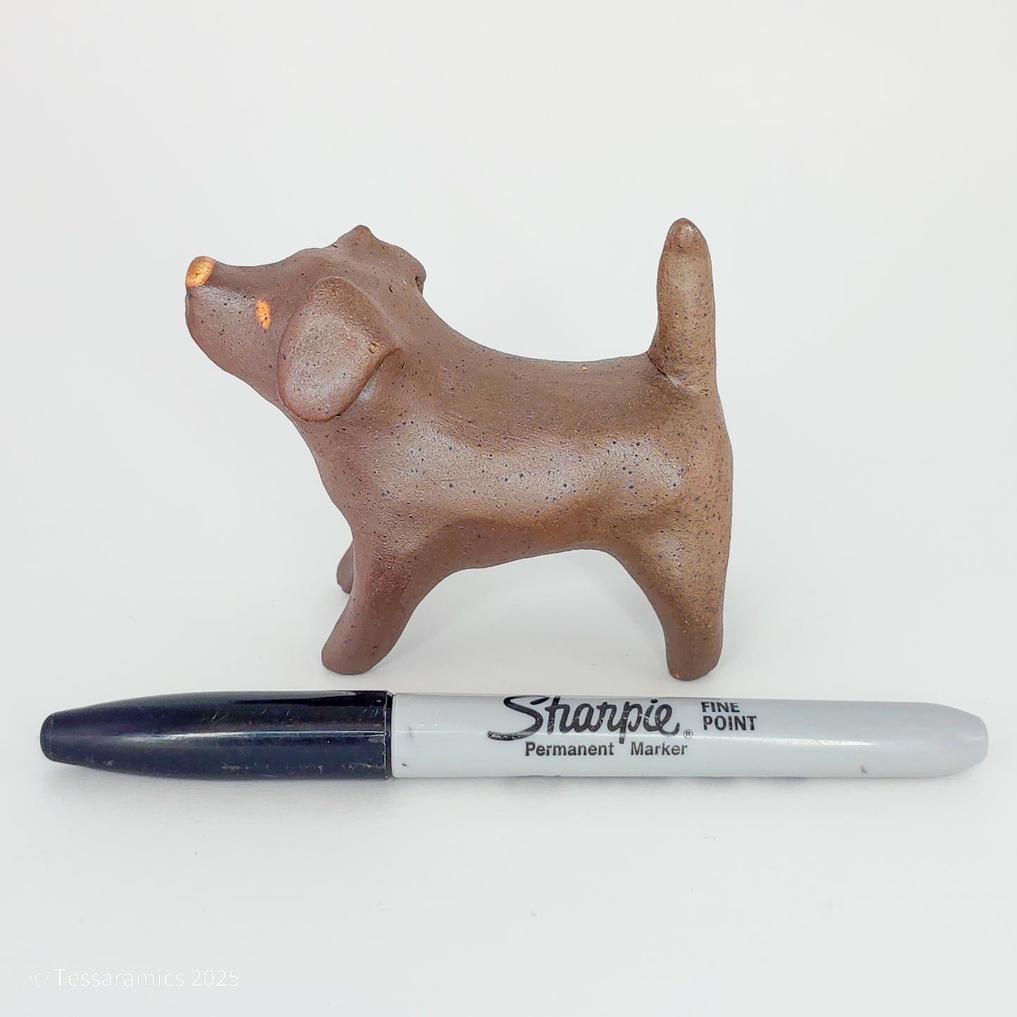 Chocolate Dog