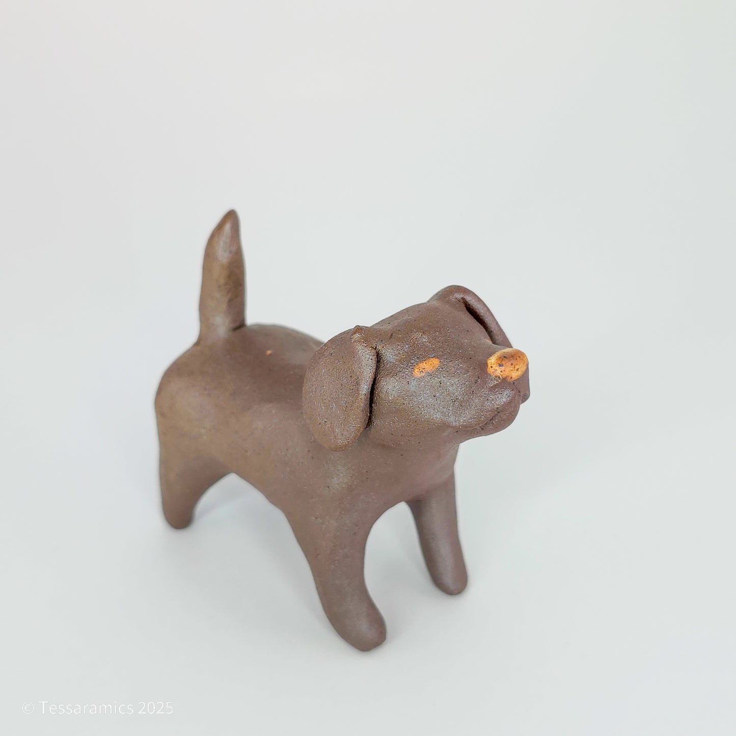 Chocolate Dog
