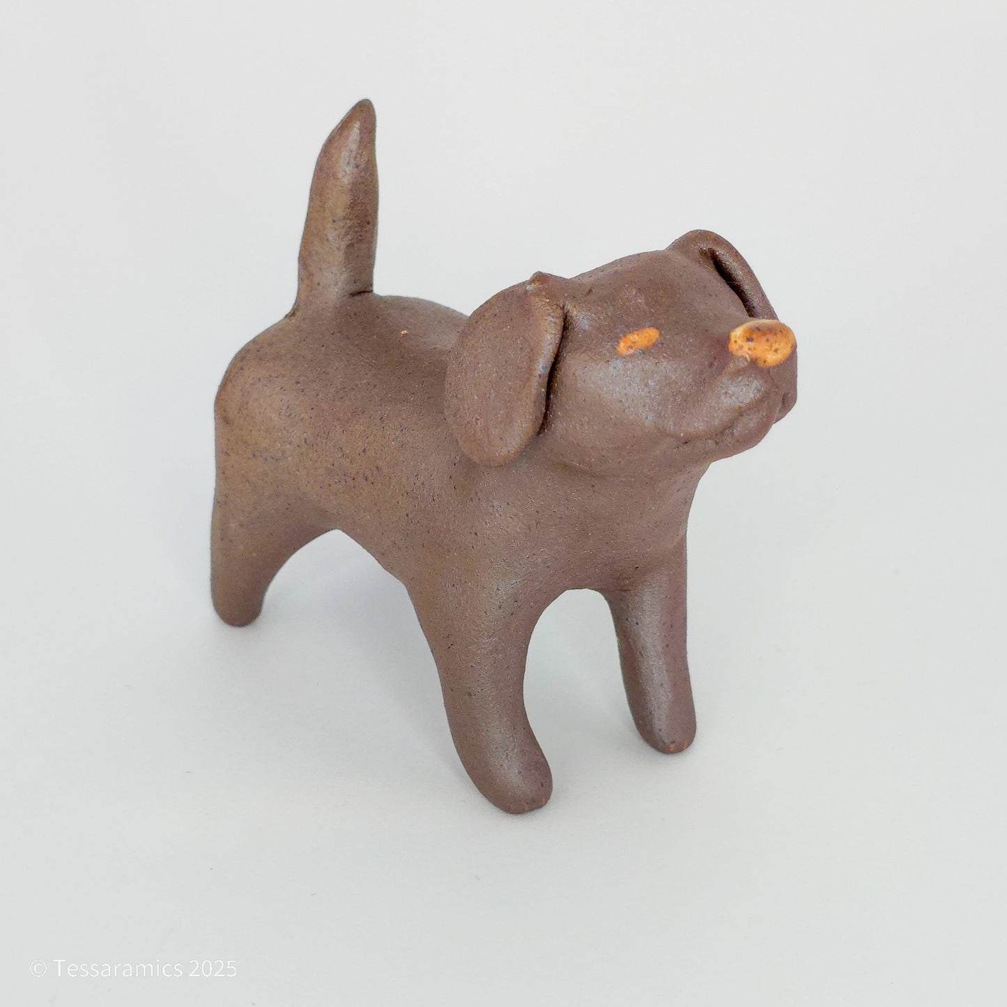 Chocolate Dog