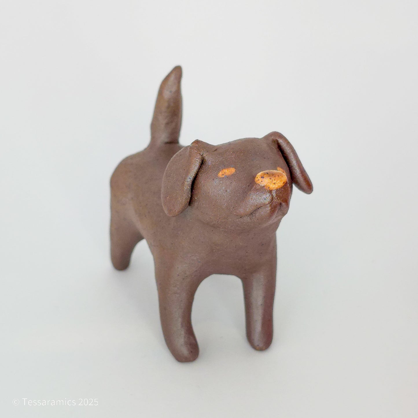 Chocolate Dog