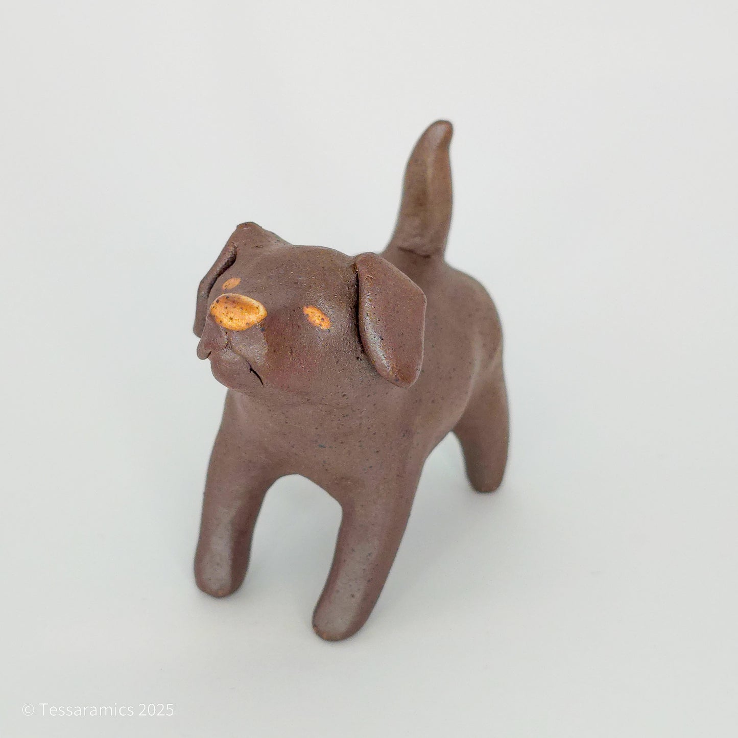 Chocolate Dog