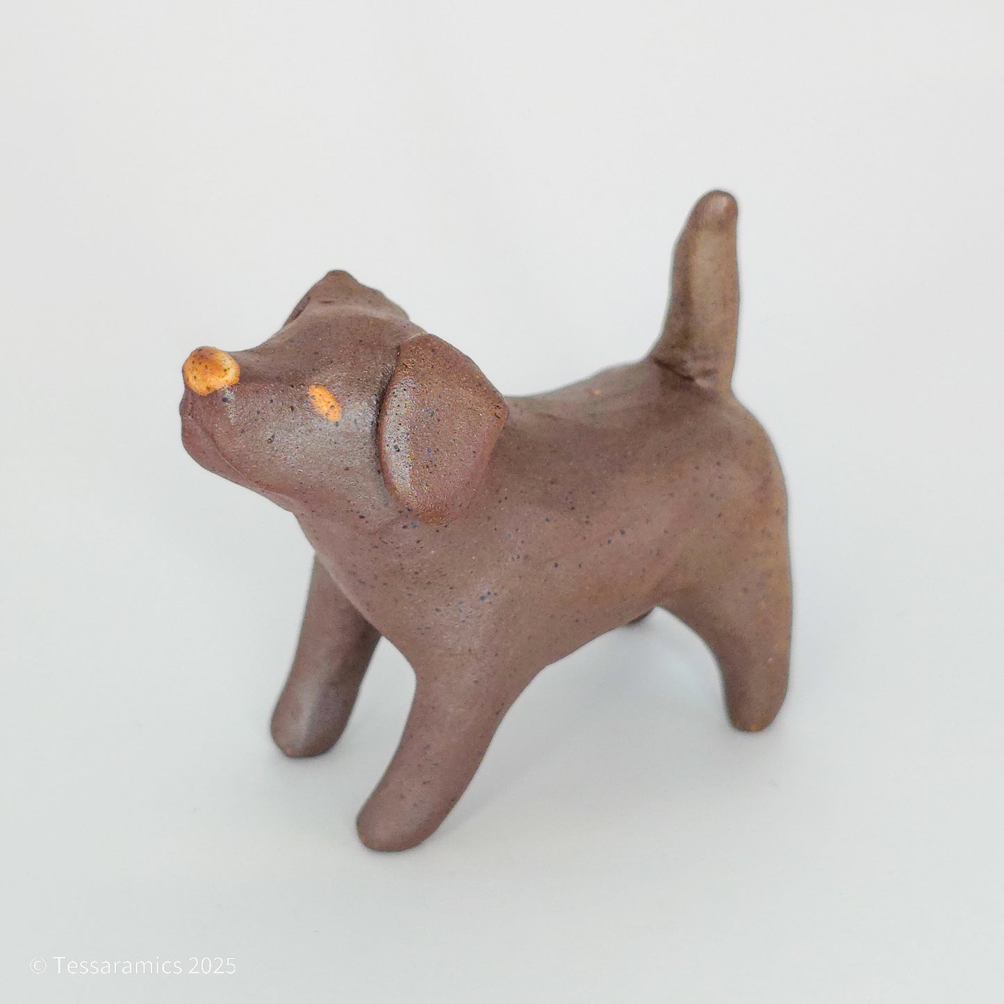 Chocolate Dog